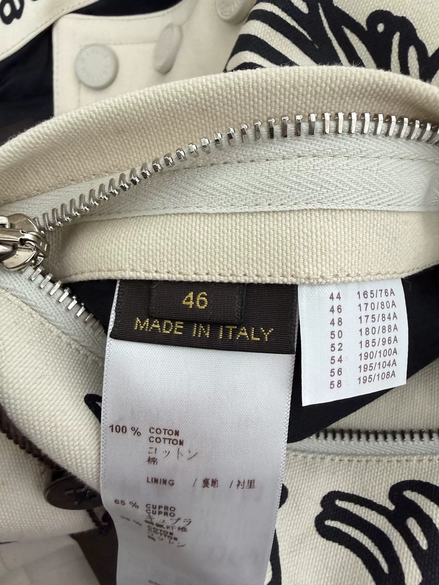 Louis Vuitton Louis Vuitton Isetan Limited Vine Jacket Size US S / EU 44-46 / 1 - 4 Thumbnail