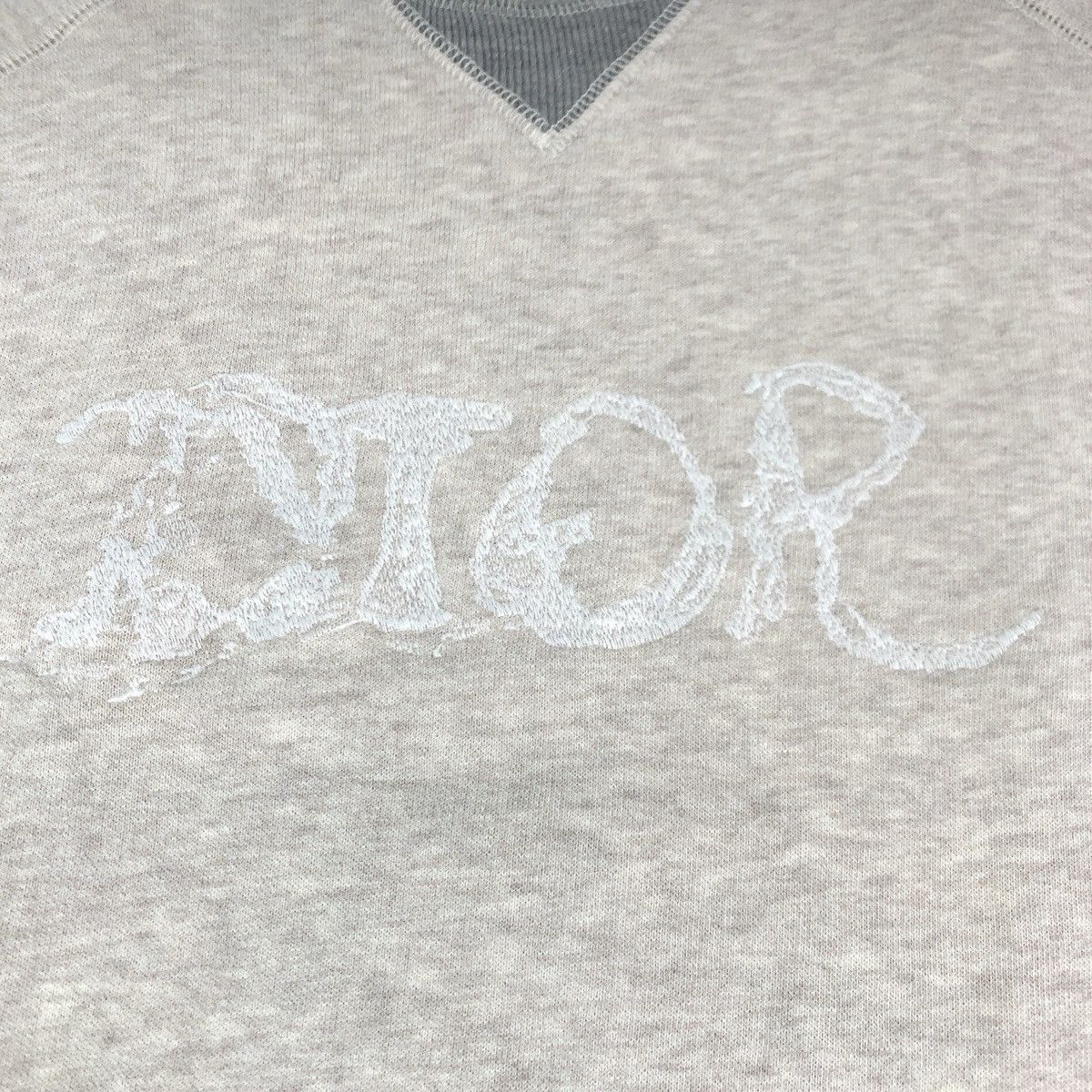Dior Dior Dior Peter Doig Logo Embroidery Cotton Sweatshirt Textile Sweatshirts & Hoodies 143J684C0736 DUTY FREE for USA Size ONE SIZE - 7 Thumbnail