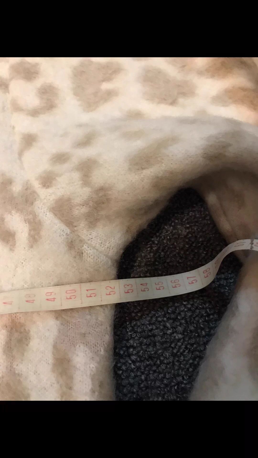 Roberto Cavalli Beige Leopard Print Knit Sweater Size US M / EU 48-50 / 2 - 8 Thumbnail