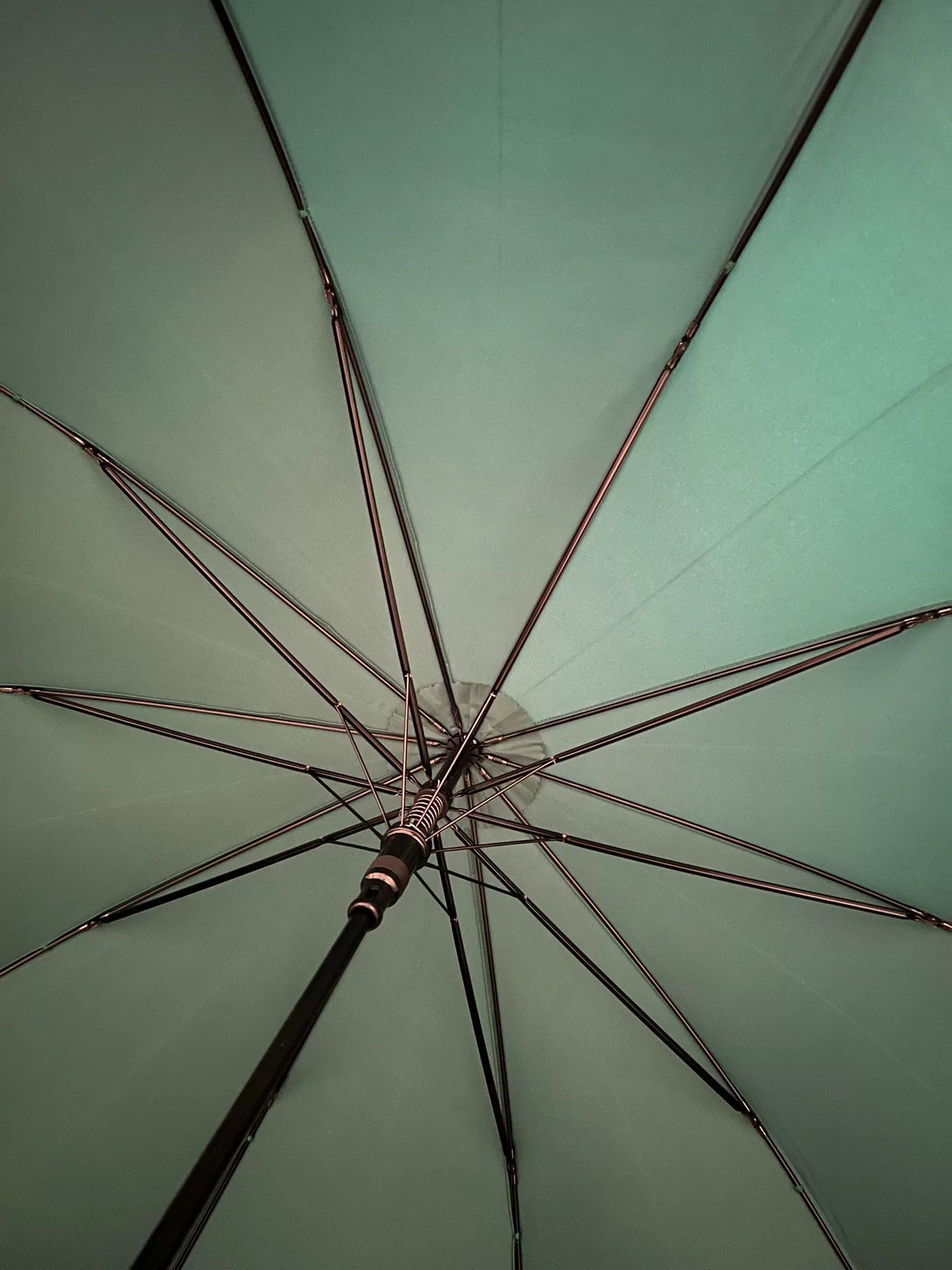 Fox Brothers Fox Umbrellas Long-Handled Umbrella Size ONE SIZE - 2 Thumbnail