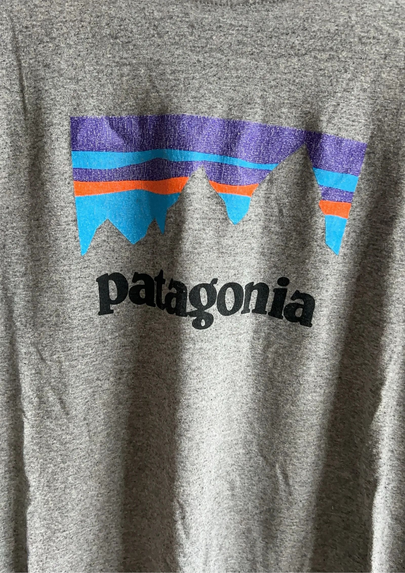 Patagonia Patagonia T-shirt Size US M / EU 48-50 / 2 - 5 Thumbnail