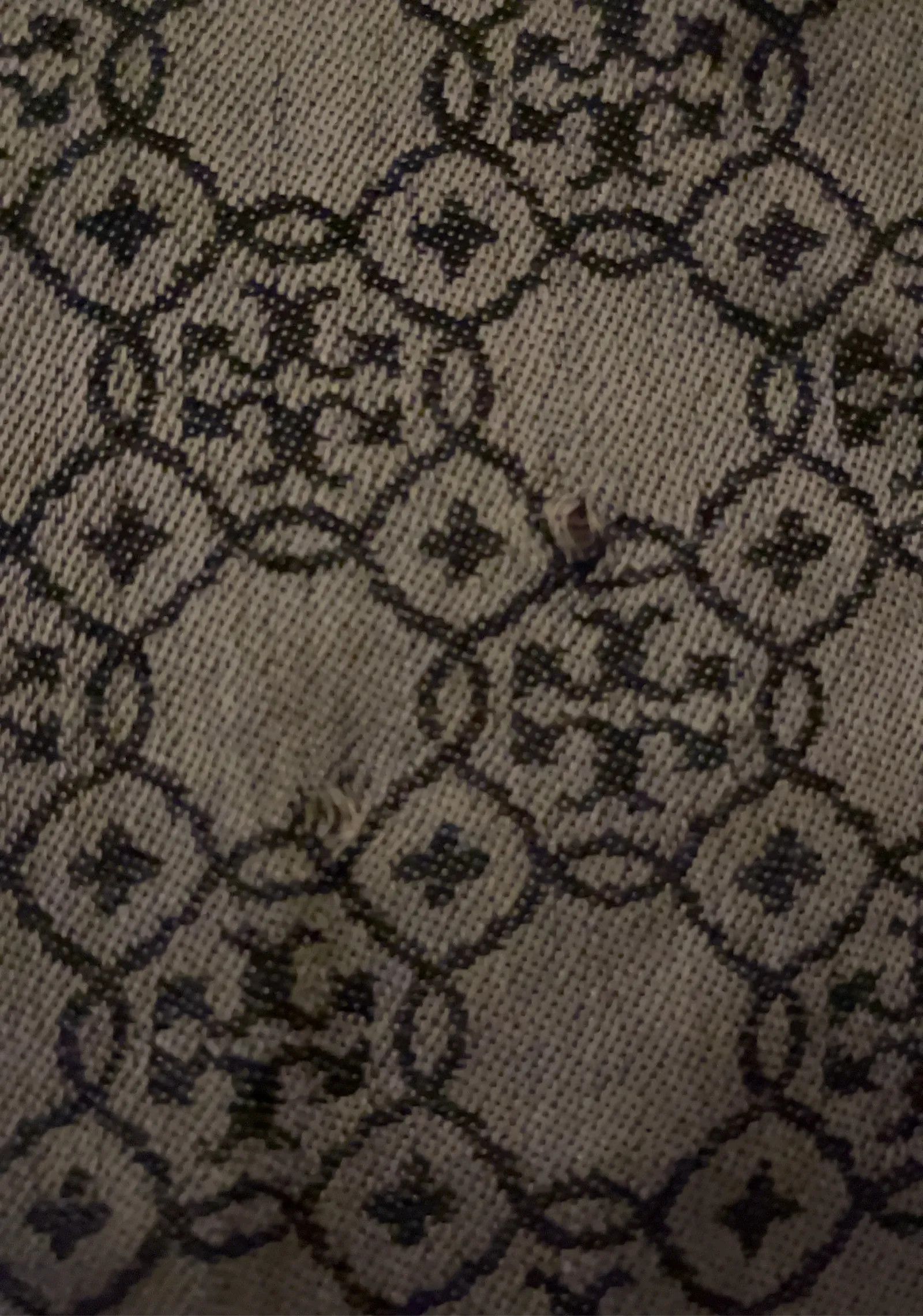 Tory Burch Tory Burch Scarf Size ONE SIZE - 5 Thumbnail