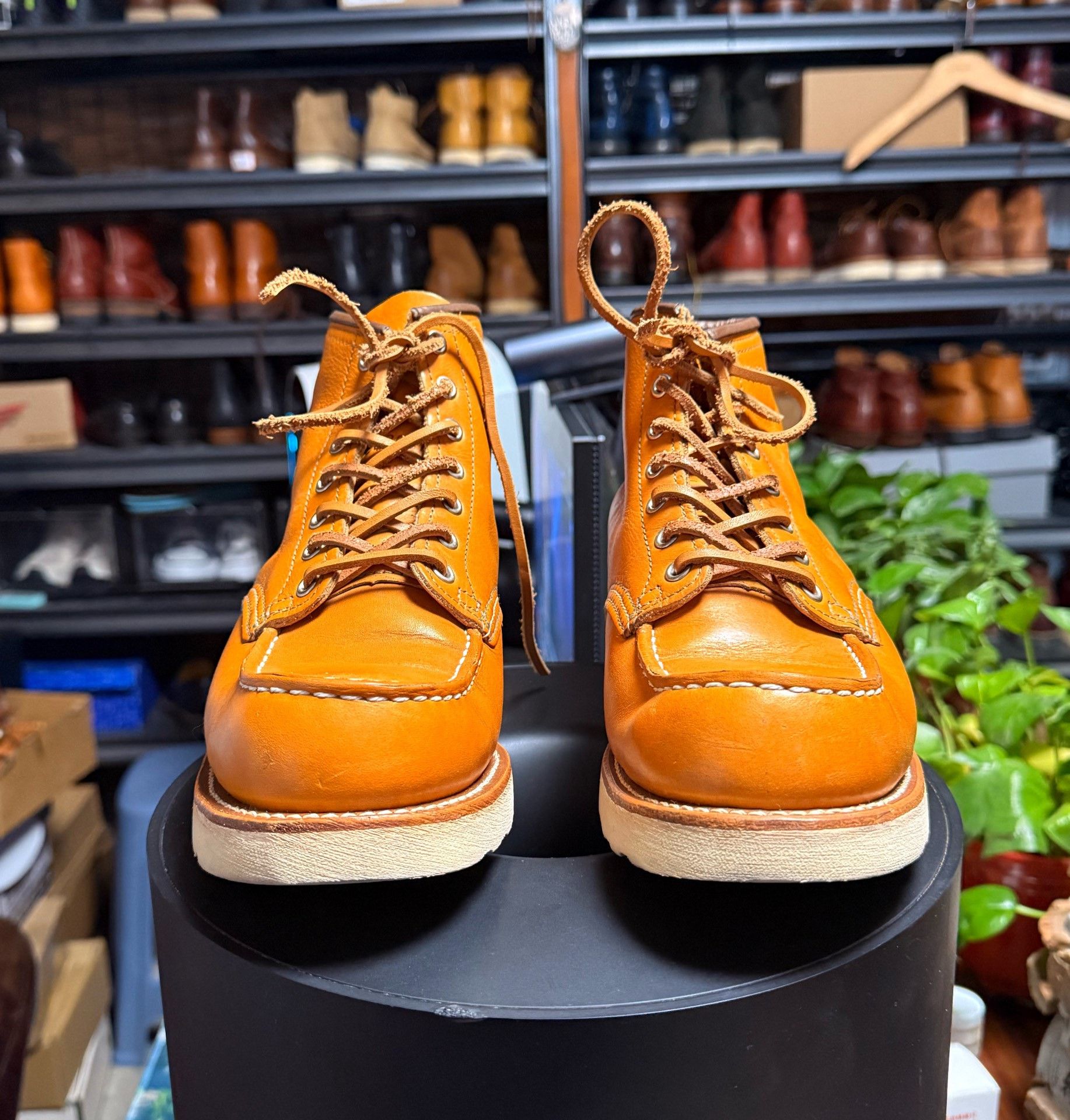 Red Wing Red Wing 9875 Yellow Dog Boot Size US 8 / EU 41 - 2 Thumbnail