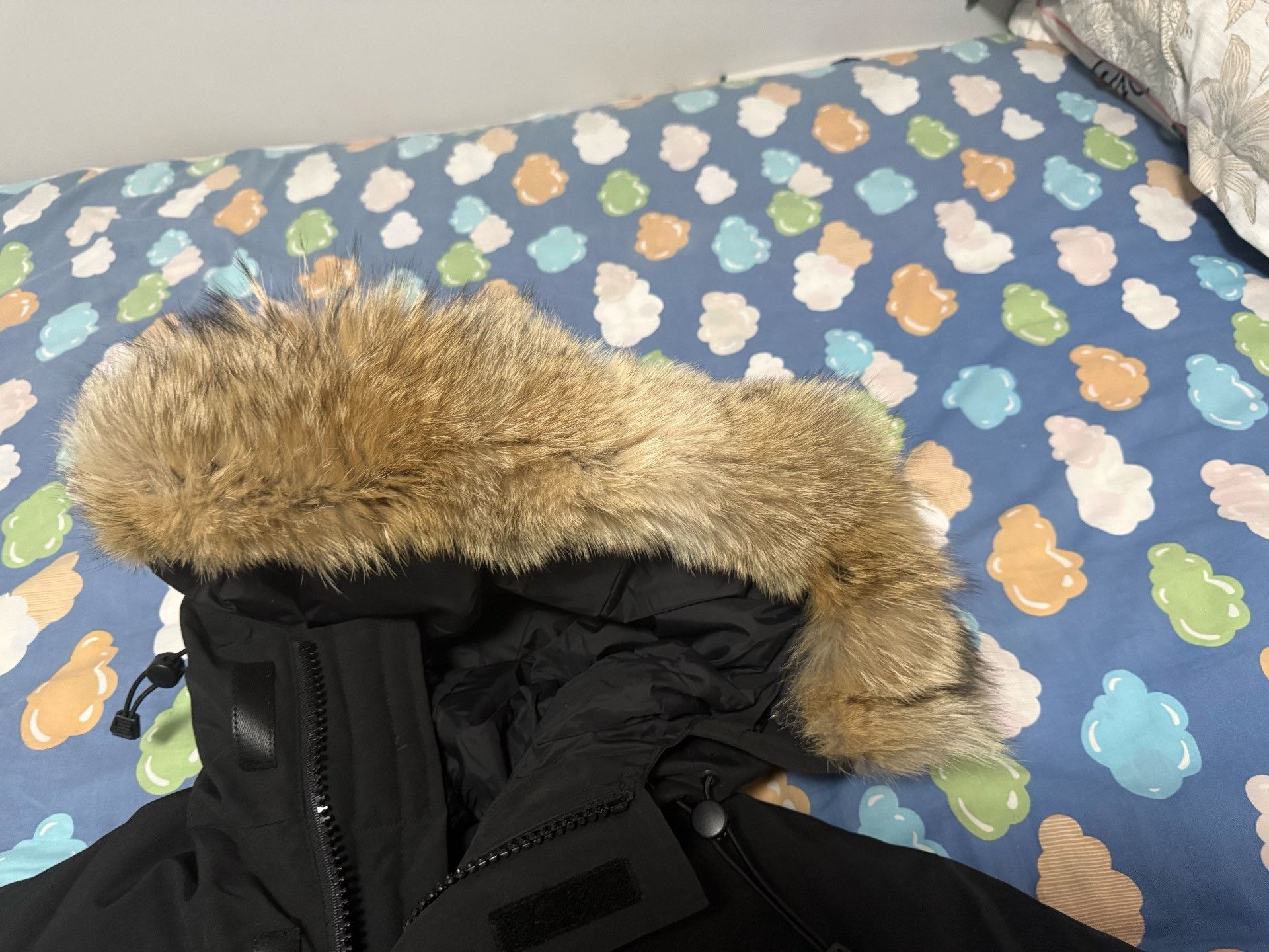 Canada Goose Canada Goose Expedition 4660M Men's XS Size US XS / EU 42 / 0 - 3 Thumbnail