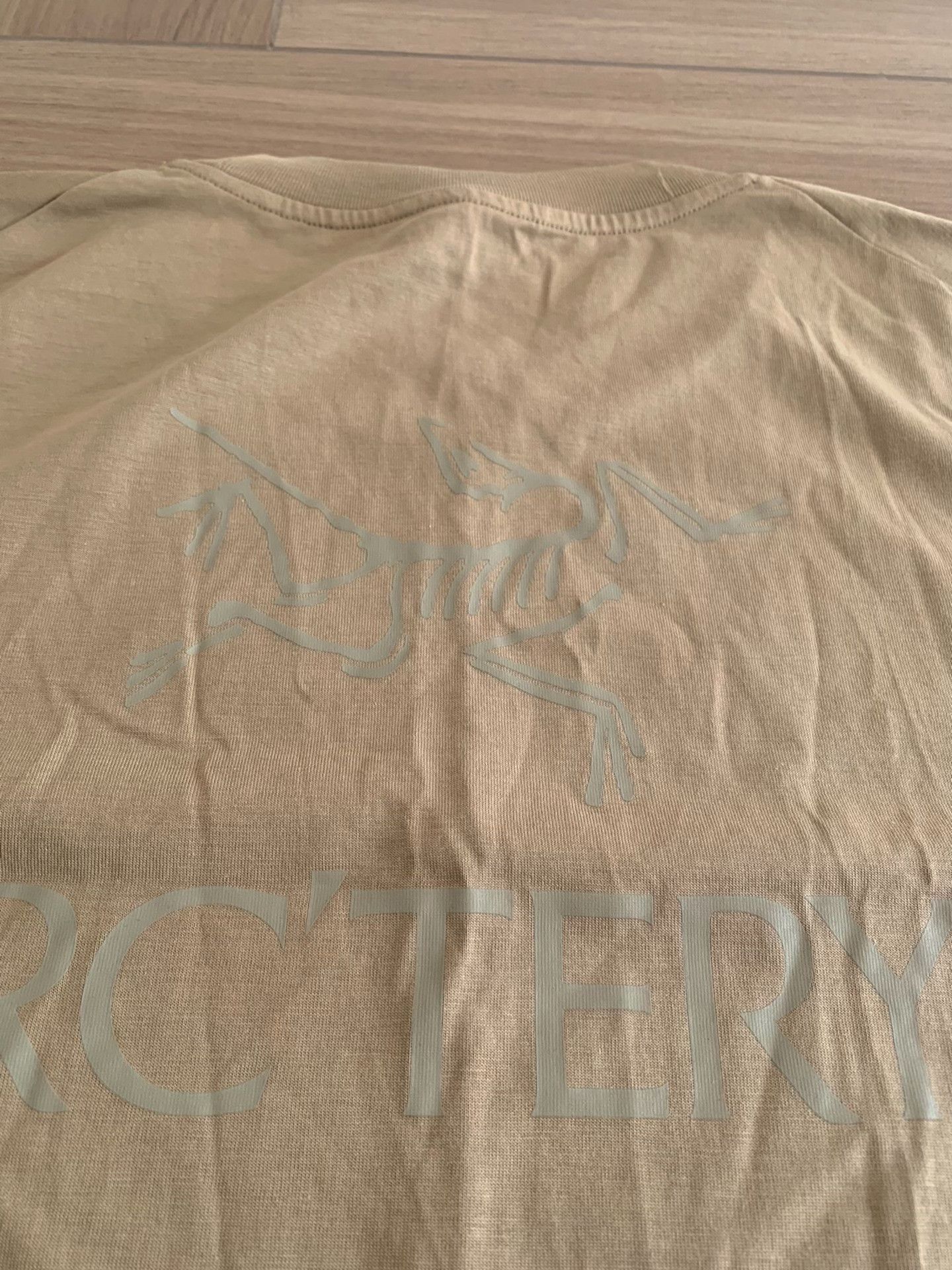 Arc'teryx Arc'teryx Kragg SL Cotton Bird Word SS Men's T-Shirt Size US L / EU 52-54 / 3 - 3 Thumbnail