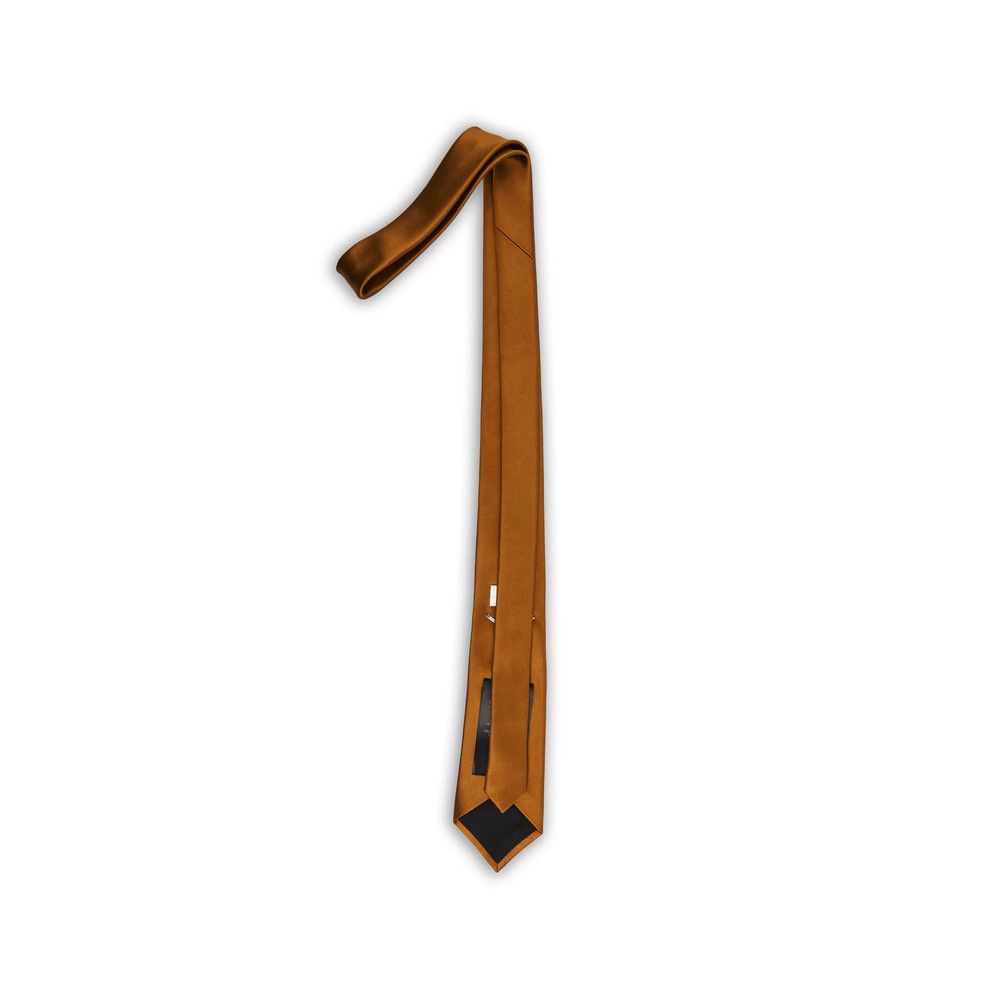 Saint Laurent Paris Saint Laurent BROWN Ties & Bow Ties Size ONE SIZE - 2 Thumbnail