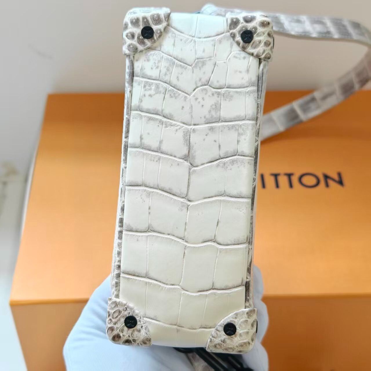 Louis Vuitton Louis Vuitton SOFT TRUNK Mini Box Bag Size ONE SIZE - 2 Thumbnail