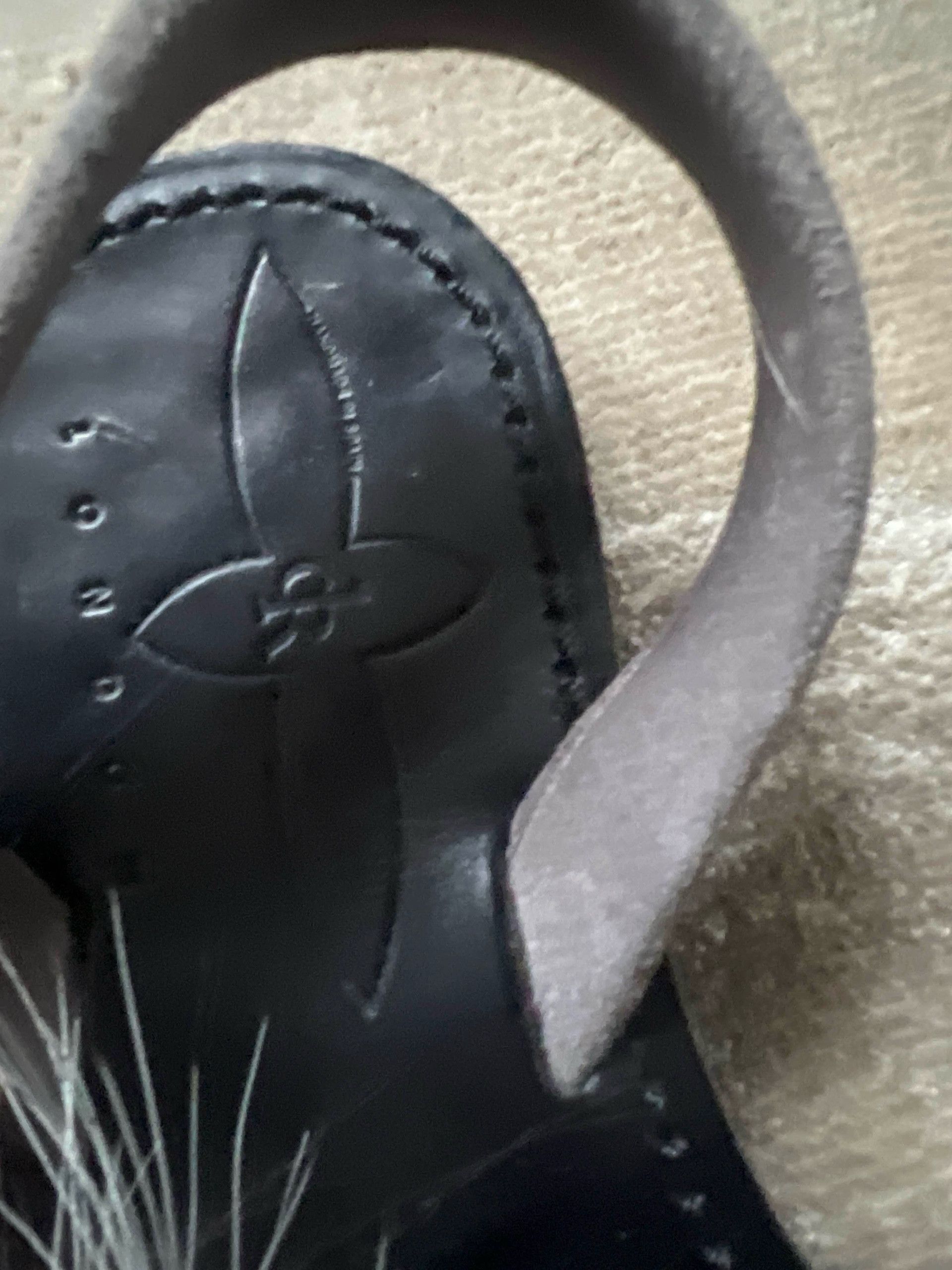 Louis Vuitton Louis Vuitton Louis Vuitton Paseo Fur Sandal Sandals Size US 6 / IT 36 - 2 Thumbnail