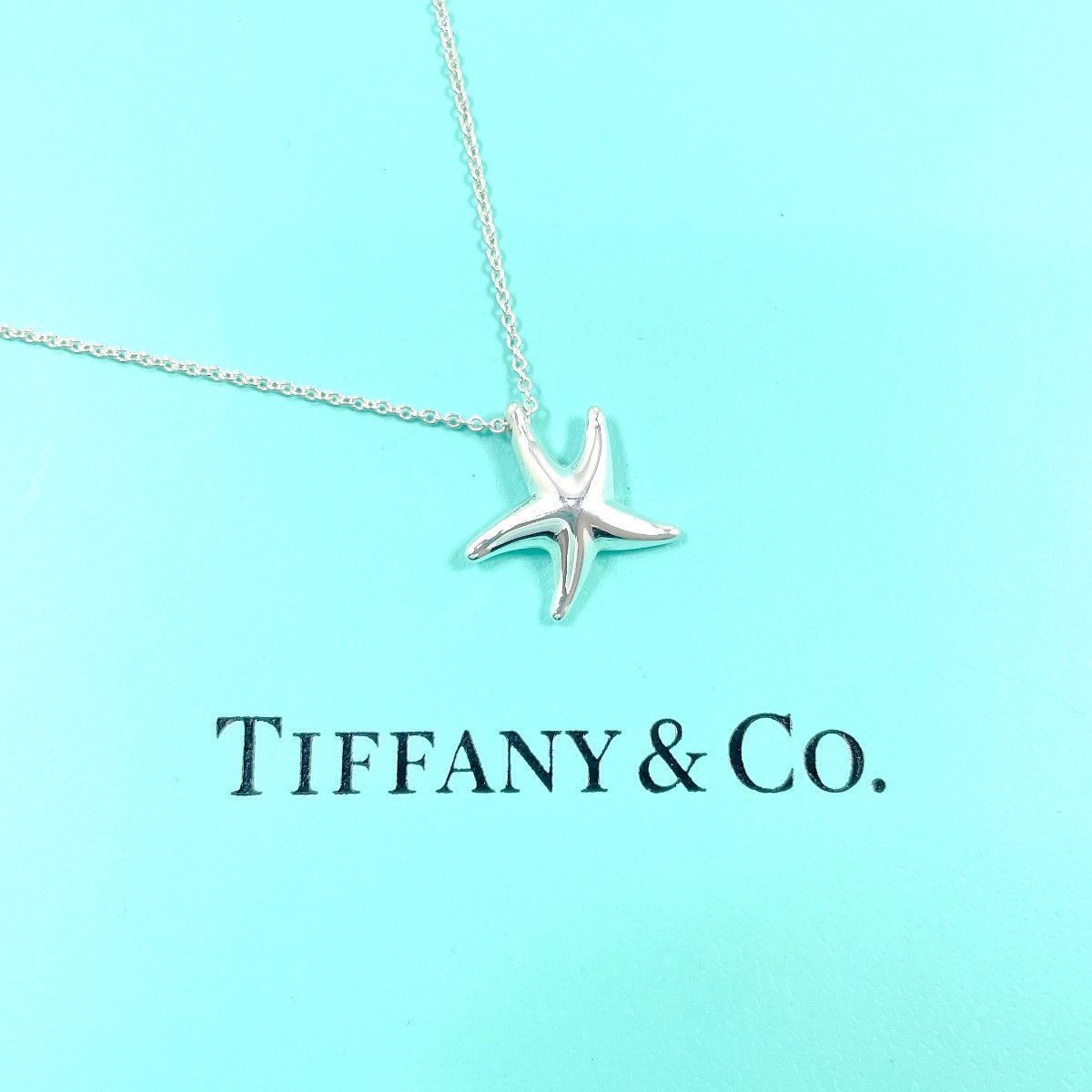 Tiffany & Co. Tiffany & Co. Tiffany&Co. Starfish Elsa Peretti Silver 925 Necklace Precious Metal Necklace DUTY FREE for USA Size ONE SIZE - 2 Thumbnail