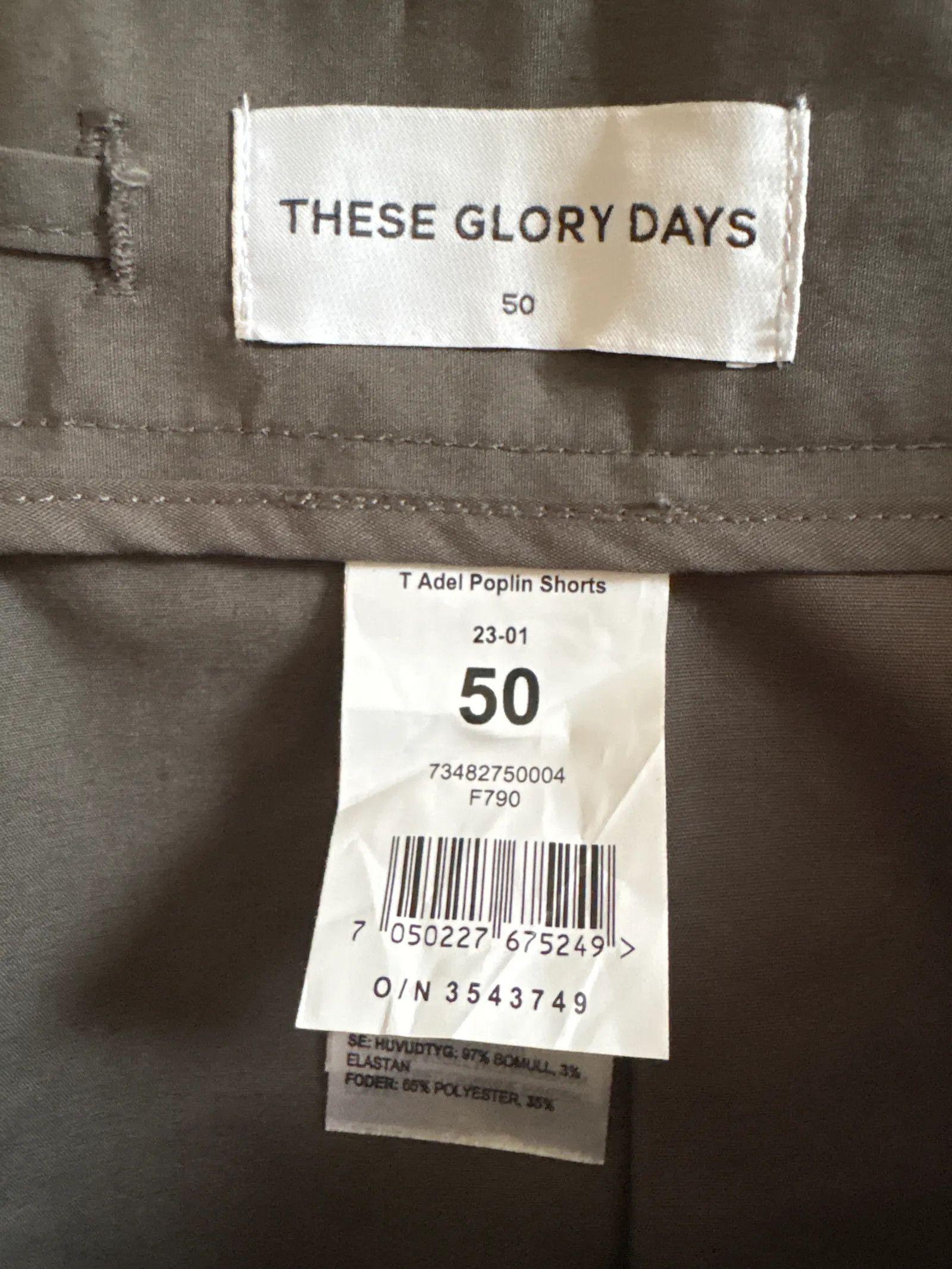 These Glory Days These Glory Days Shorts Size US 32 / EU 48 - 2 Thumbnail