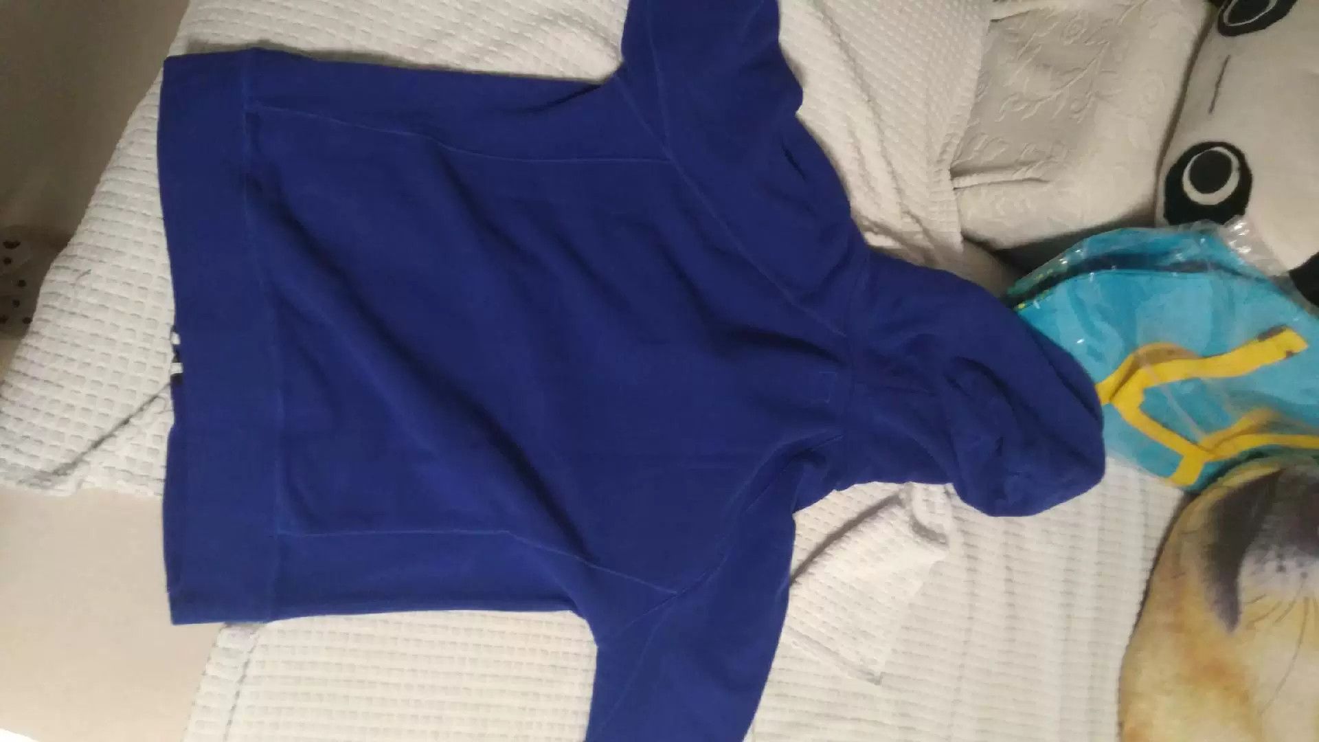 C.P. Company C.P. Company M Cotton Blue Hoodie Size US M / EU 48-50 / 2 - 9 Thumbnail