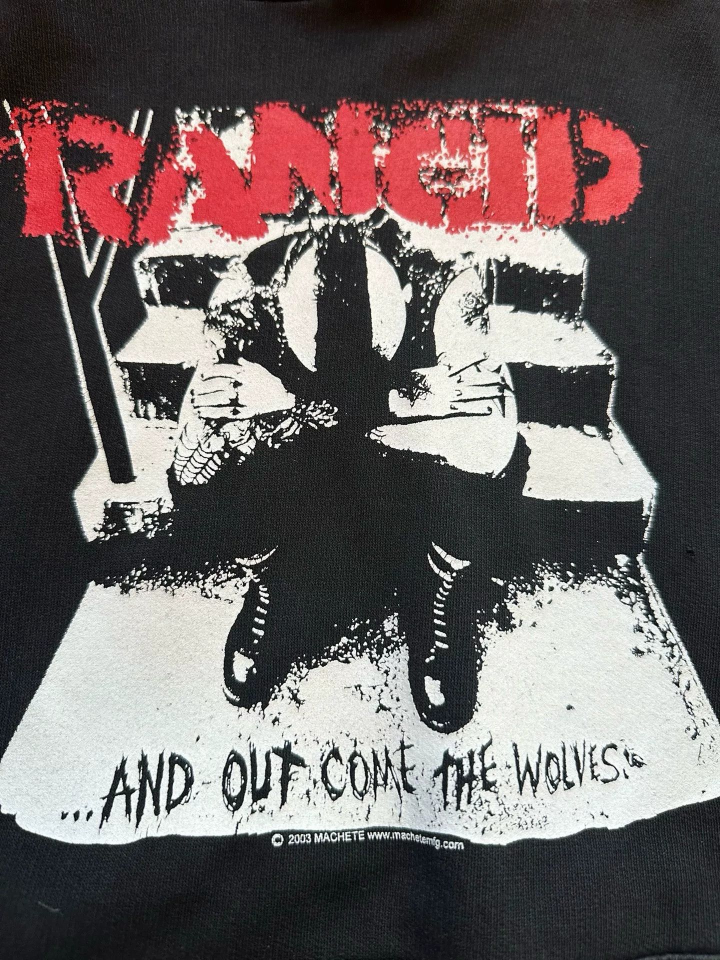 Vintage Vintage Rancid Hoodie 2003 Size US L / EU 52-54 / 3 - 4 Thumbnail