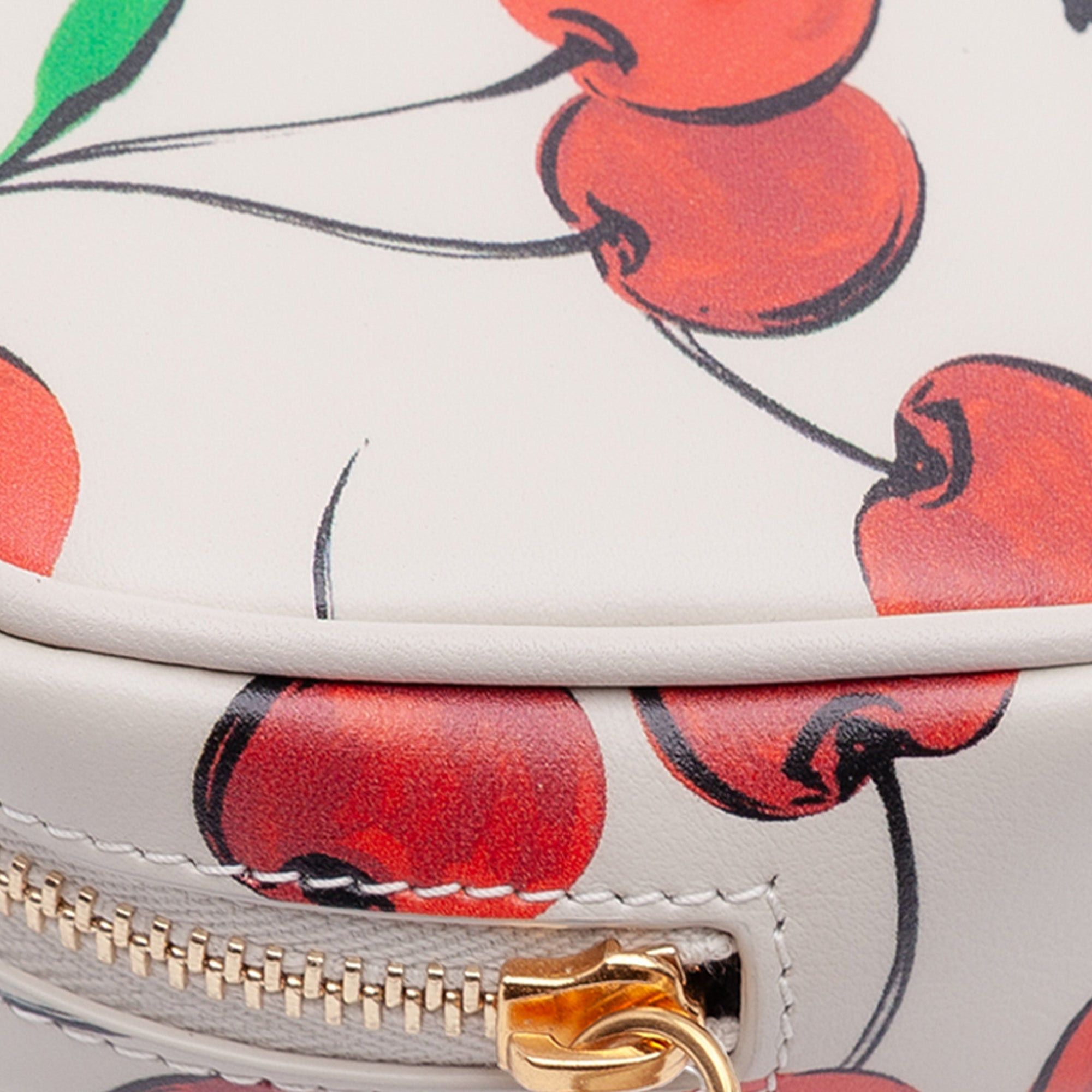 Saint Laurent Paris Baby Calfskin Monogram Cherry Printed Lou Camera Bag Size ONE SIZE - 8 Thumbnail