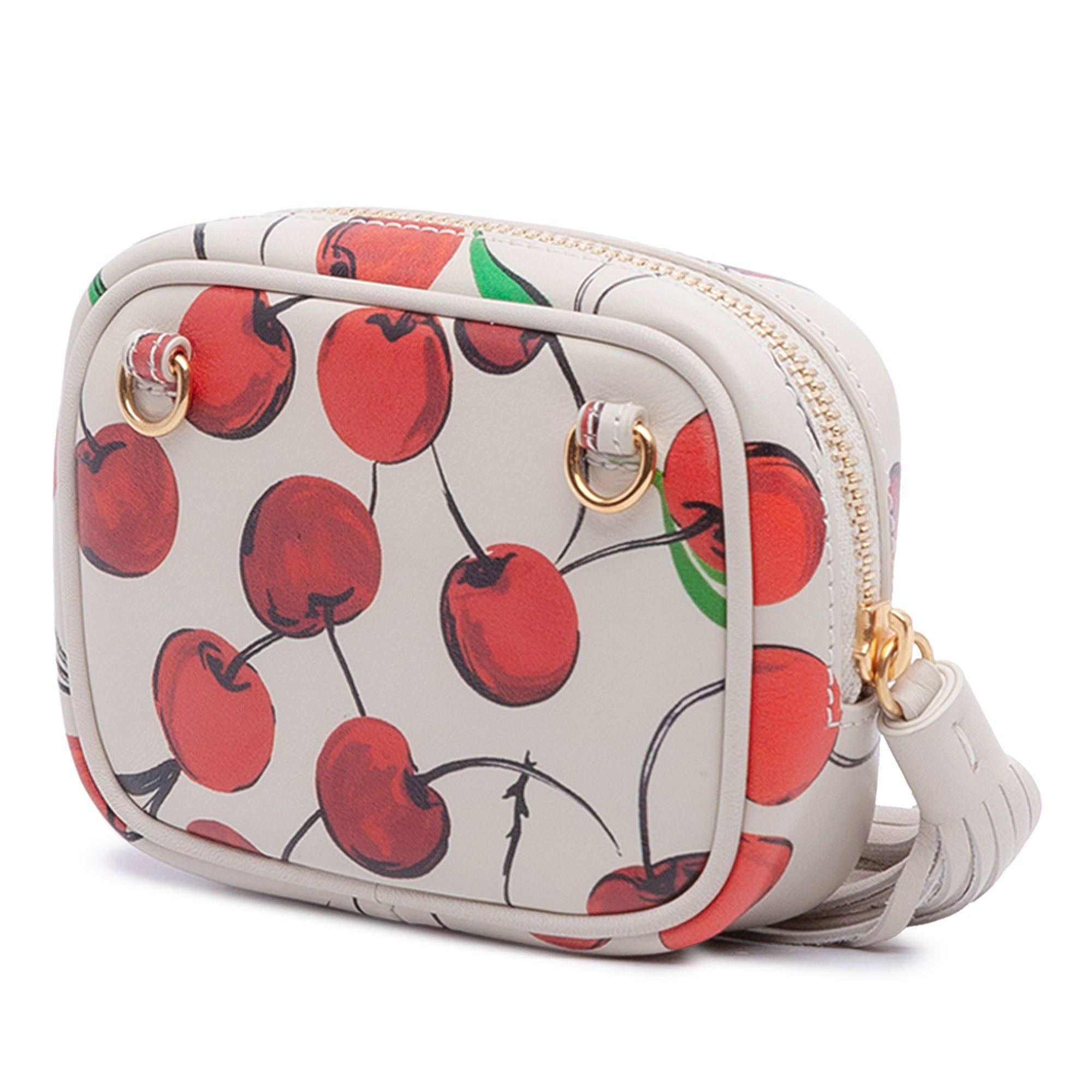 Saint Laurent Paris Baby Calfskin Monogram Cherry Printed Lou Camera Bag Size ONE SIZE - 2 Thumbnail