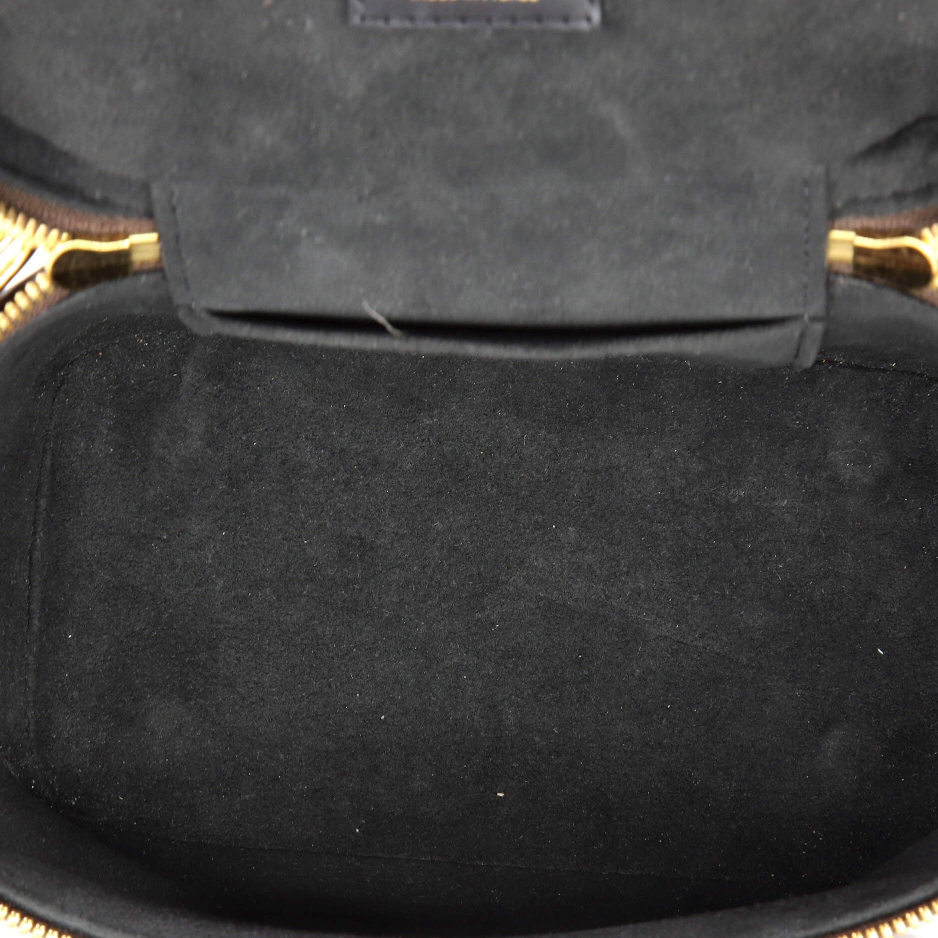 Louis Vuitton Vanity Handbag Size ONE SIZE - 5 Thumbnail