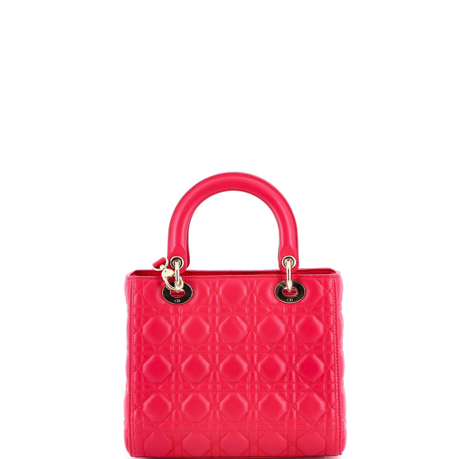 Dior Lady Dior Bag Size ONE SIZE - 3 Thumbnail