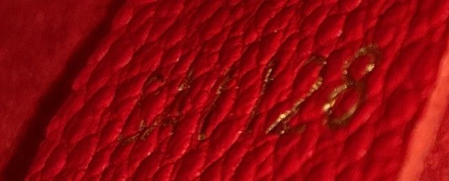 Louis Vuitton Victoire Handbag Size ONE SIZE - 6 Thumbnail