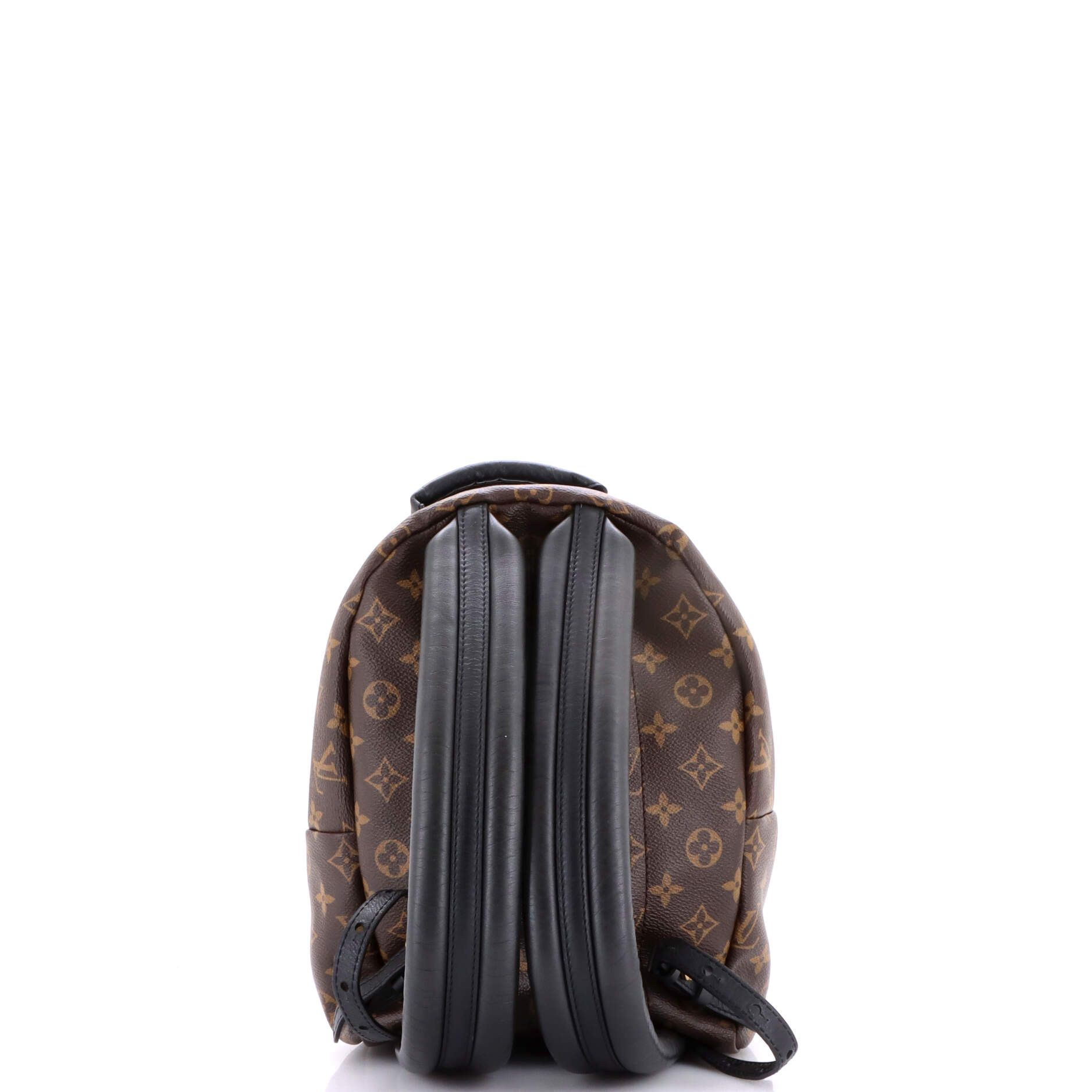 Louis Vuitton Palm Springs Backpack Size ONE SIZE - 3 Thumbnail