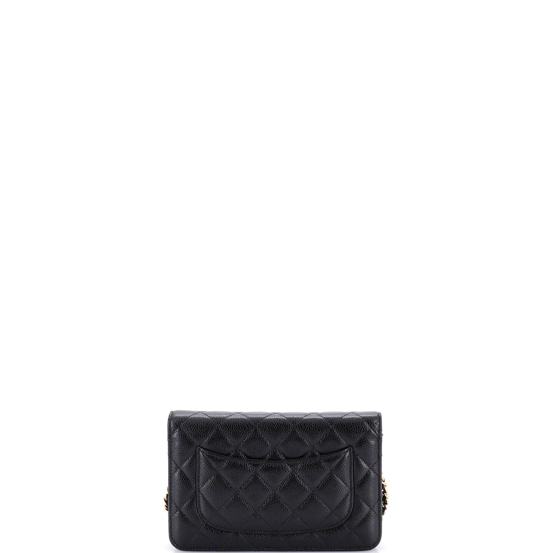 Chanel Wallet on Chain Size ONE SIZE - 3 Thumbnail