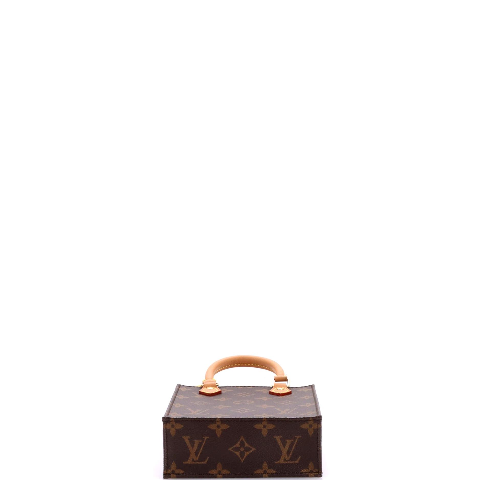 Louis Vuitton Petit Sac Plat Bag Size ONE SIZE - 4 Thumbnail