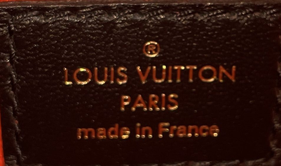 Louis Vuitton Coussin Bag Size ONE SIZE - 7 Thumbnail