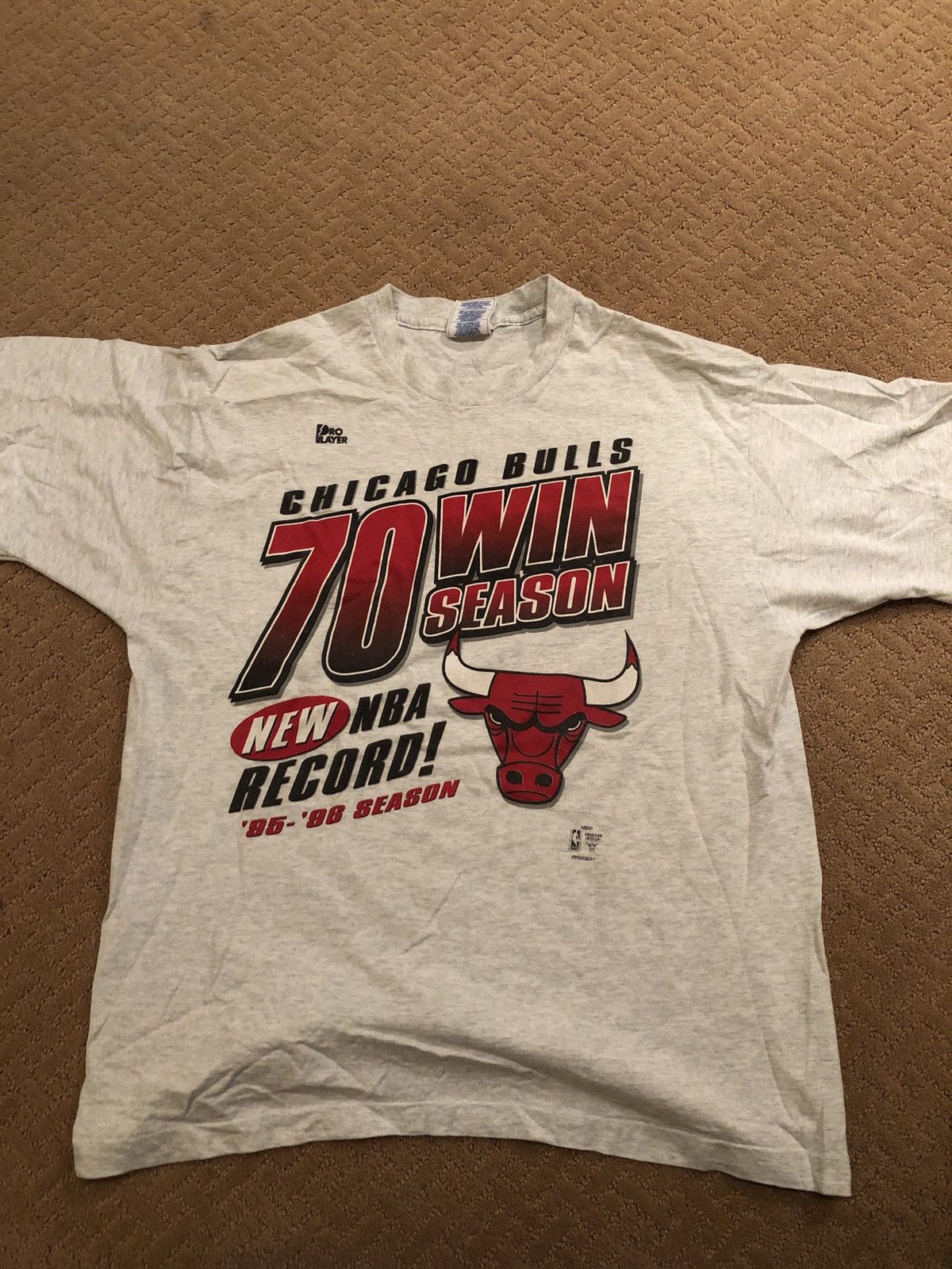 retro bulls