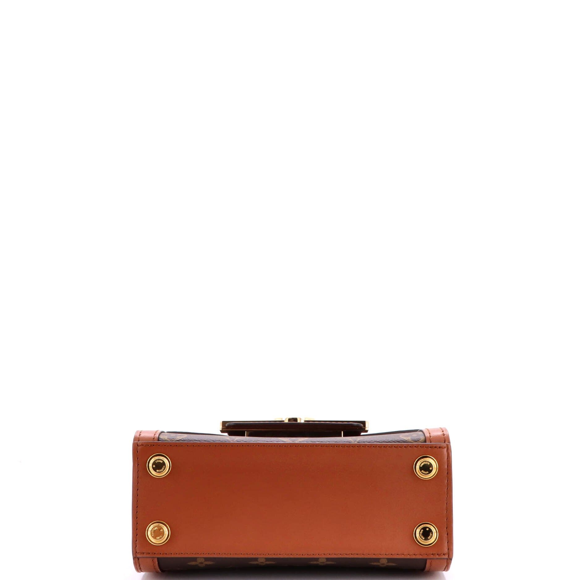 Louis Vuitton Dauphine Capitale Bag Size ONE SIZE - 4 Thumbnail