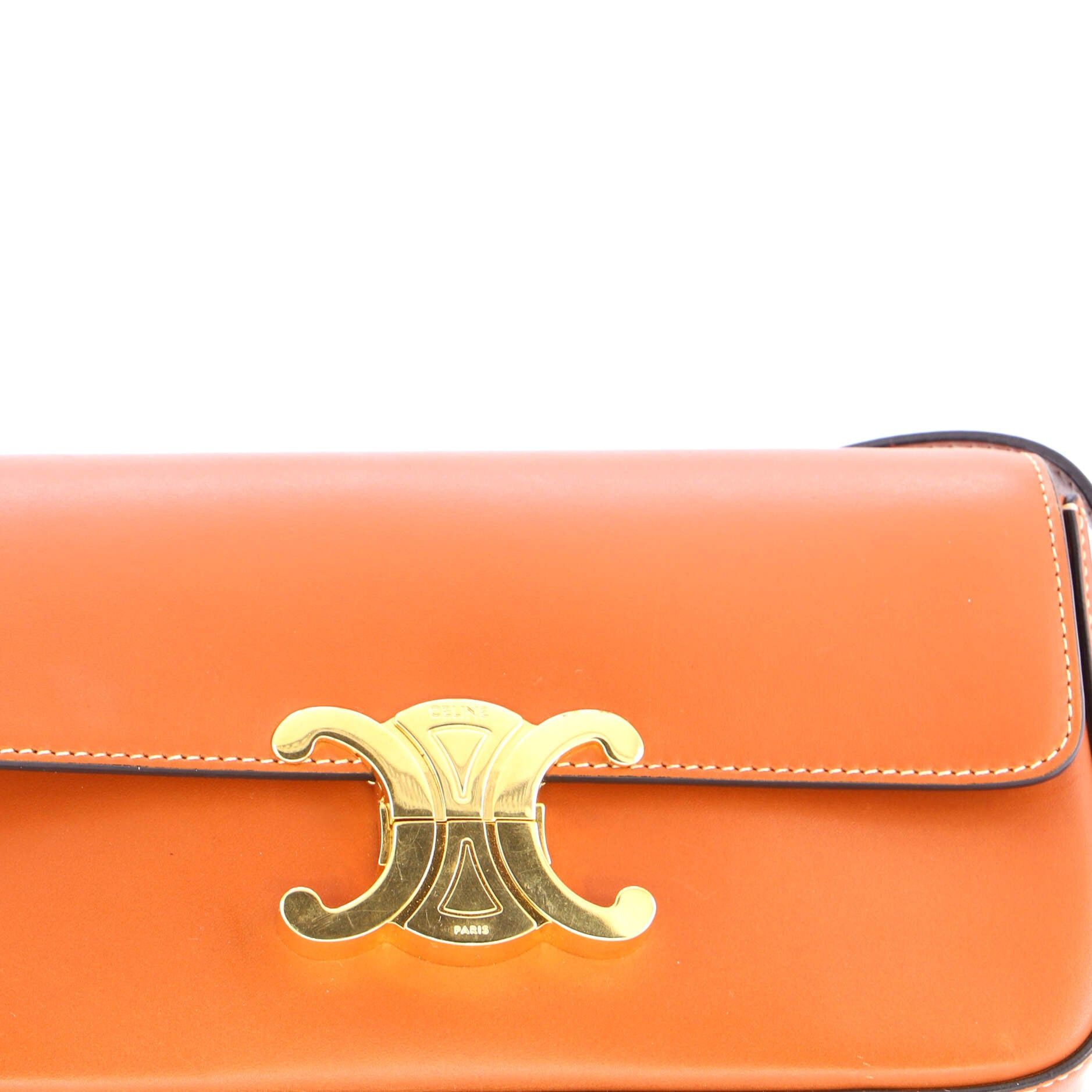 Celine Triomphe East-West Shoulder Bag Size ONE SIZE - 7 Thumbnail