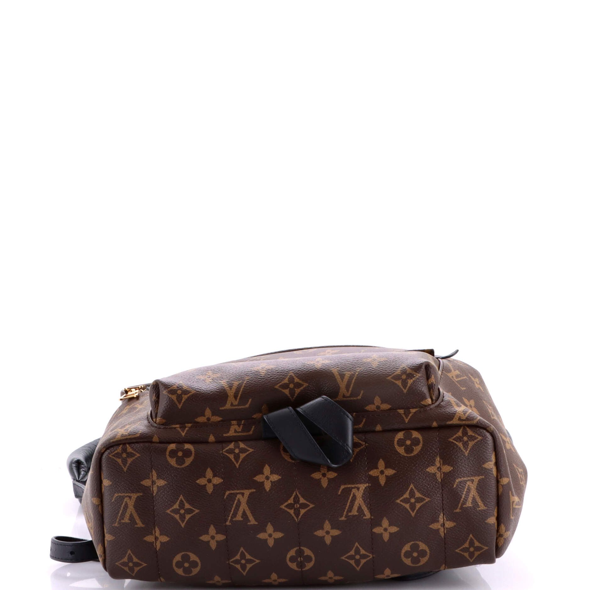 Louis Vuitton Palm Springs Backpack Size ONE SIZE - 4 Thumbnail