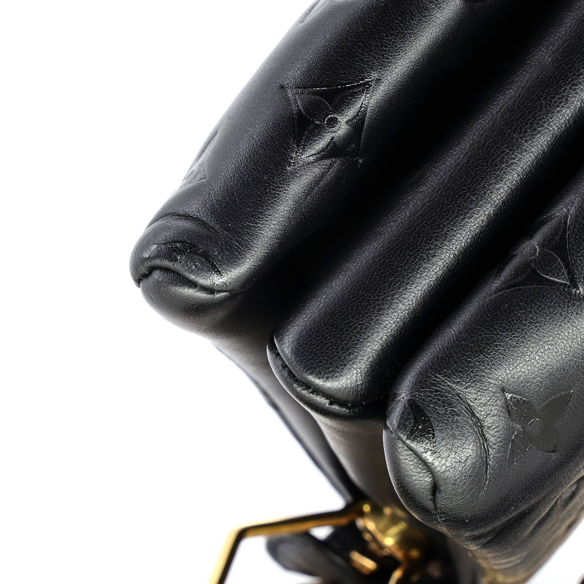 Louis Vuitton Coussin Bag Size ONE SIZE - 8 Thumbnail