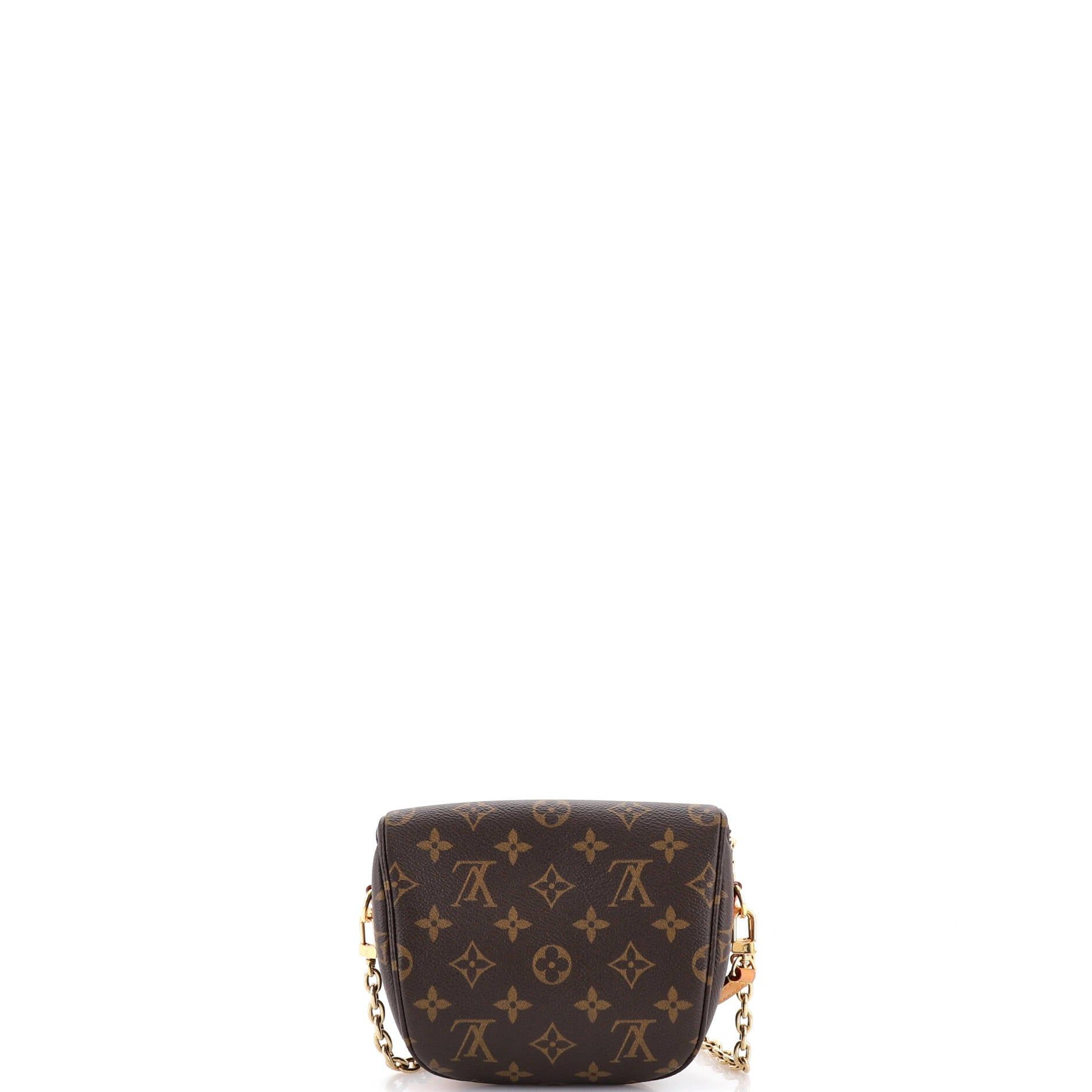 Louis Vuitton Bum Bag Size ONE SIZE - 3 Thumbnail