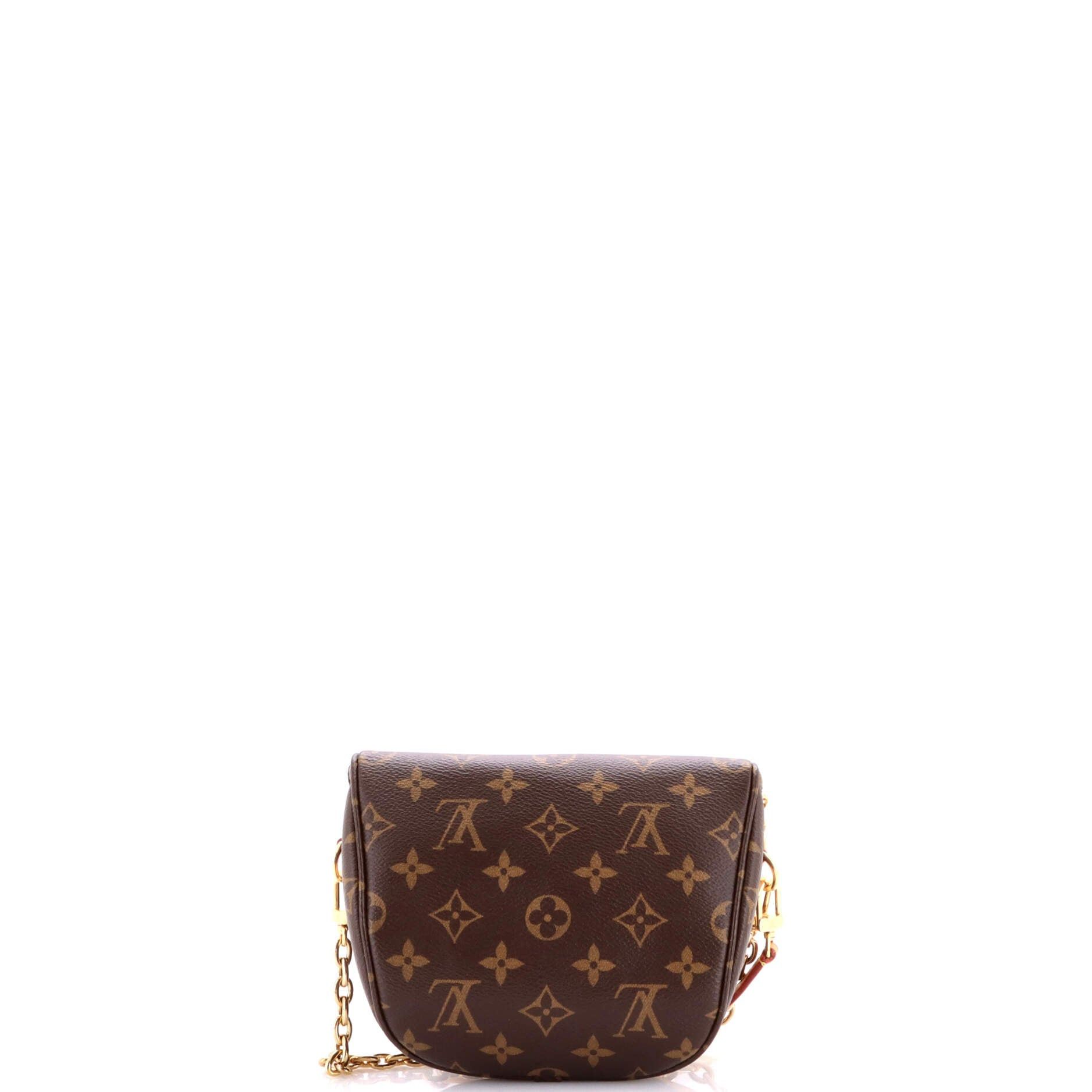 Louis Vuitton Bum Bag Size ONE SIZE - 3 Thumbnail