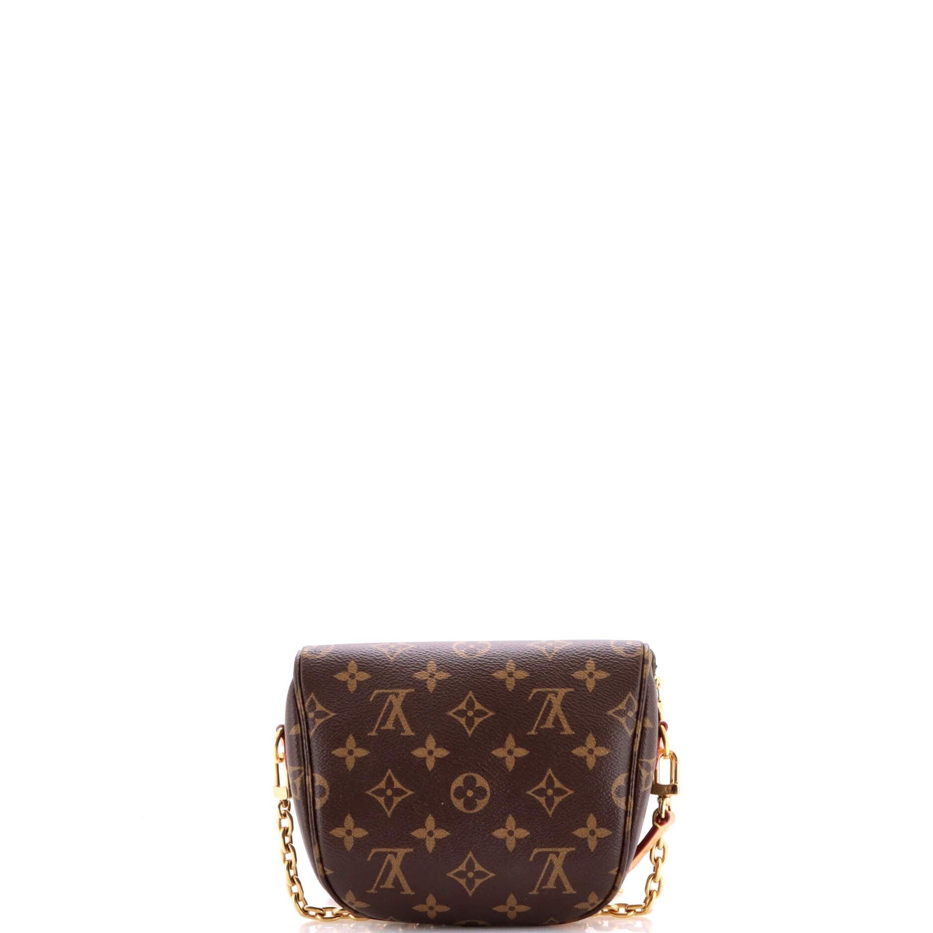 Louis Vuitton Bum Bag Size ONE SIZE - 3 Thumbnail