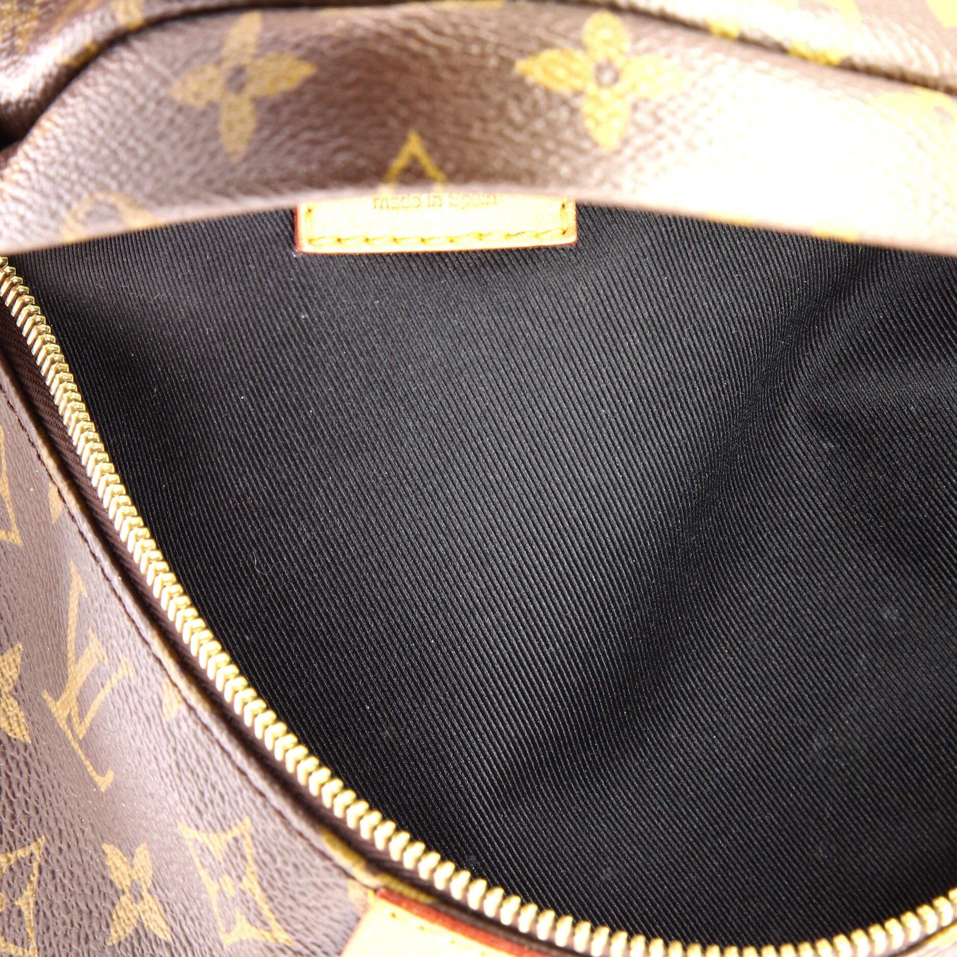 Louis Vuitton Bum Bag Size ONE SIZE - 5 Thumbnail