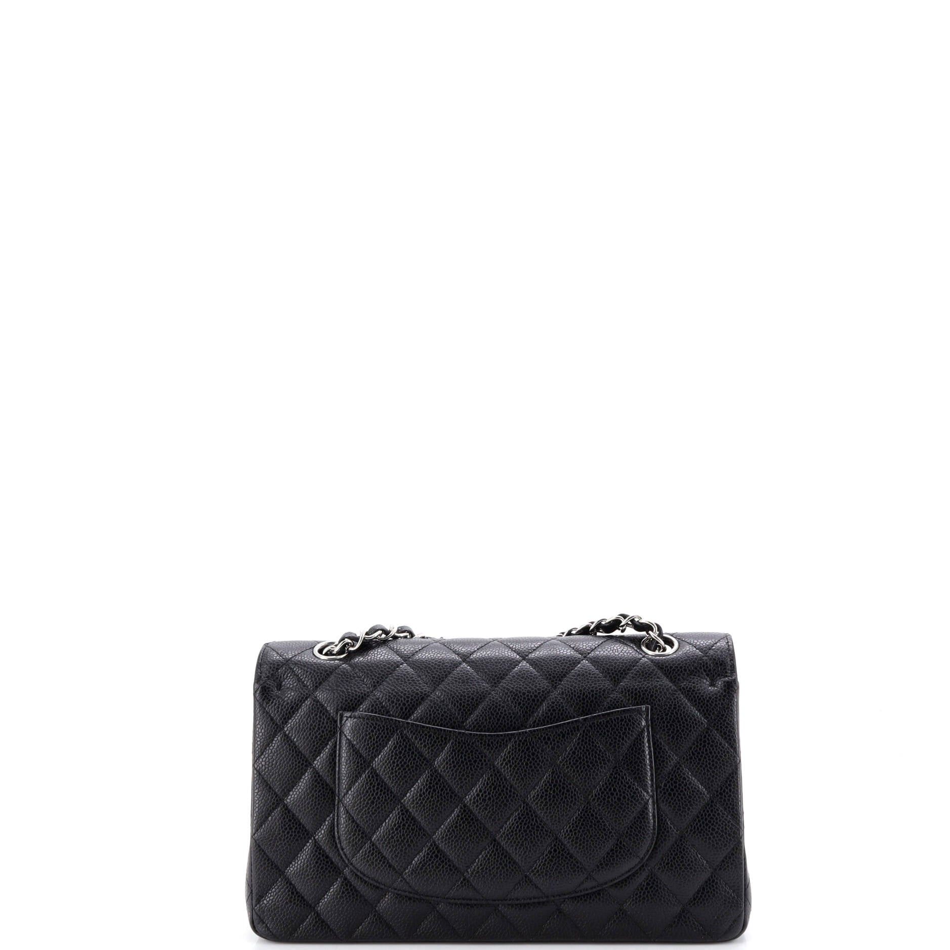 Chanel Classic Double Flap Bag Size ONE SIZE - 3 Thumbnail