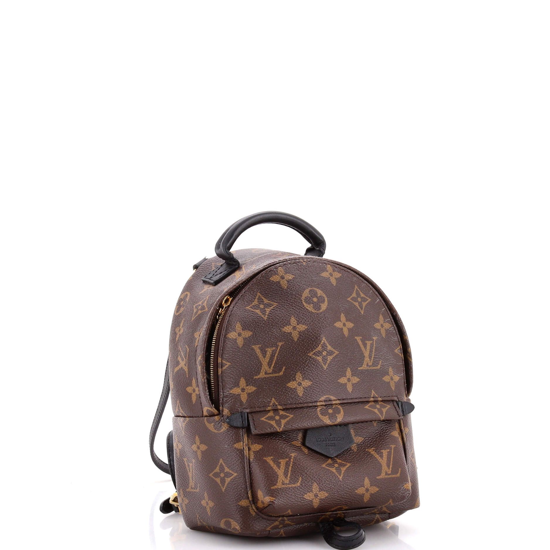 Louis Vuitton Palm Springs Backpack Size ONE SIZE - 2 Thumbnail