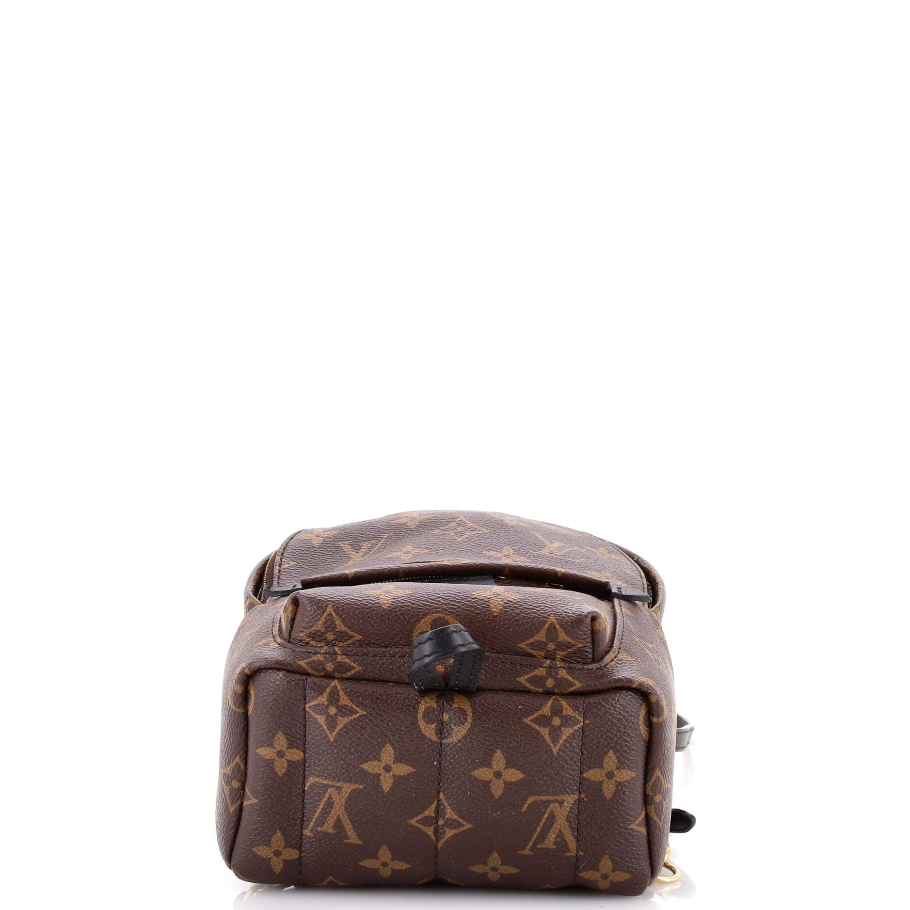 Louis Vuitton Palm Springs Backpack Size ONE SIZE - 4 Thumbnail