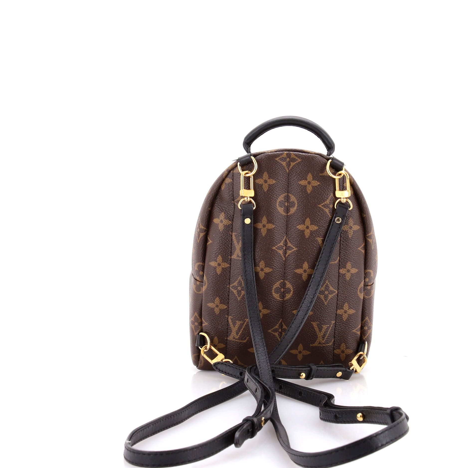 Louis Vuitton Palm Springs Backpack Size ONE SIZE - 3 Thumbnail