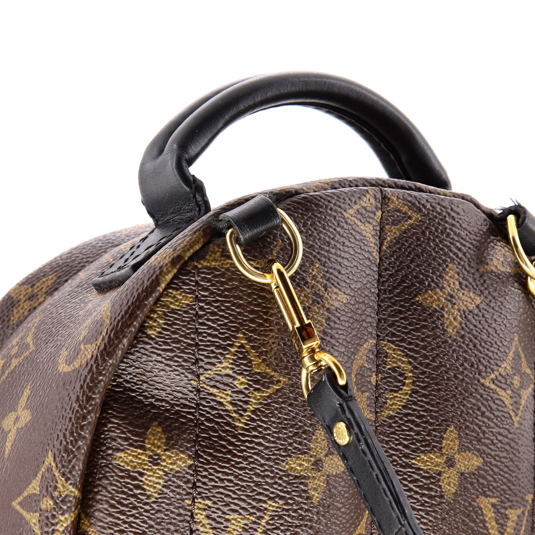 Louis Vuitton Palm Springs Backpack Size ONE SIZE - 6 Thumbnail