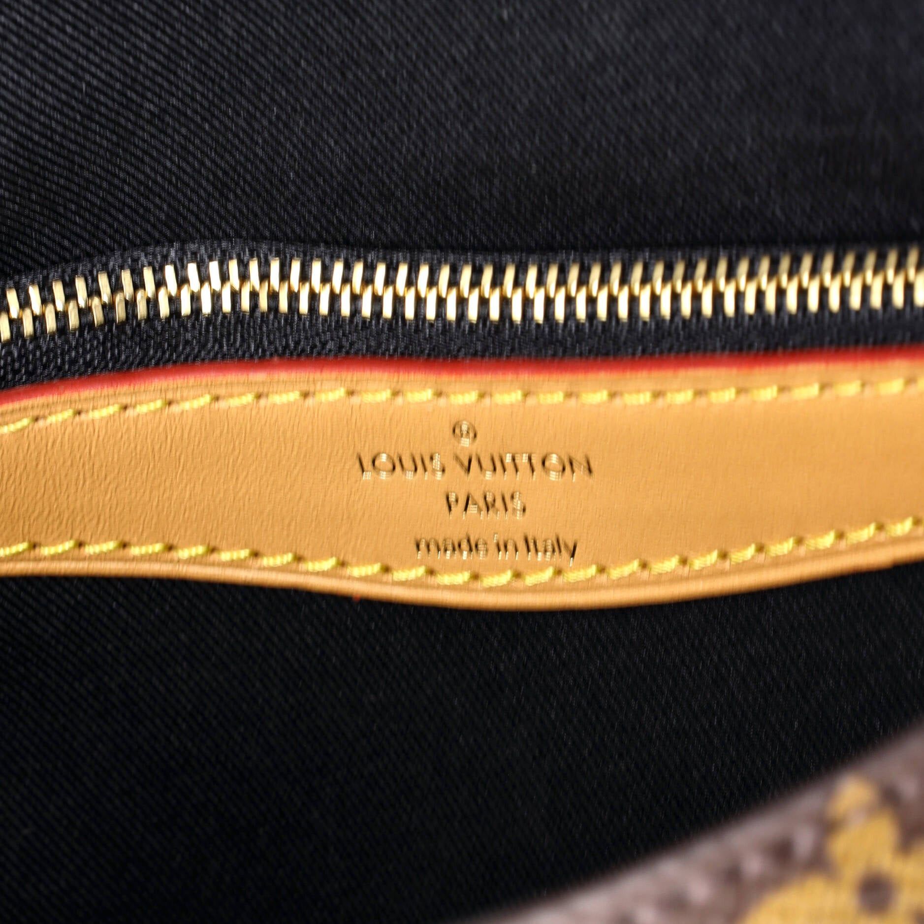 Louis Vuitton Diane NM Handbag Size ONE SIZE - 7 Thumbnail