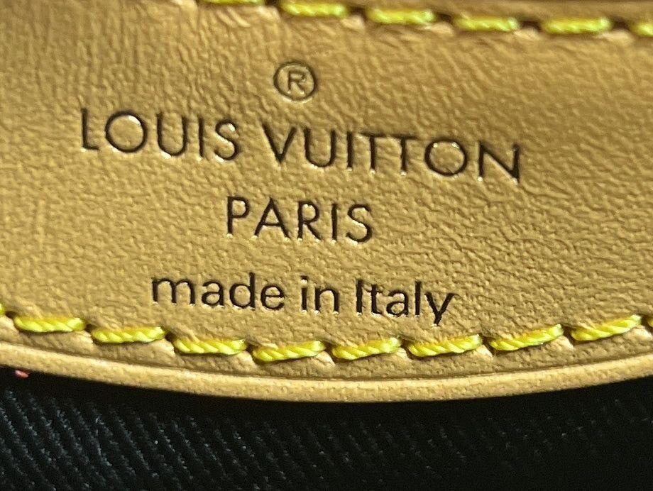 Louis Vuitton Diane NM Handbag Size ONE SIZE - 8 Thumbnail