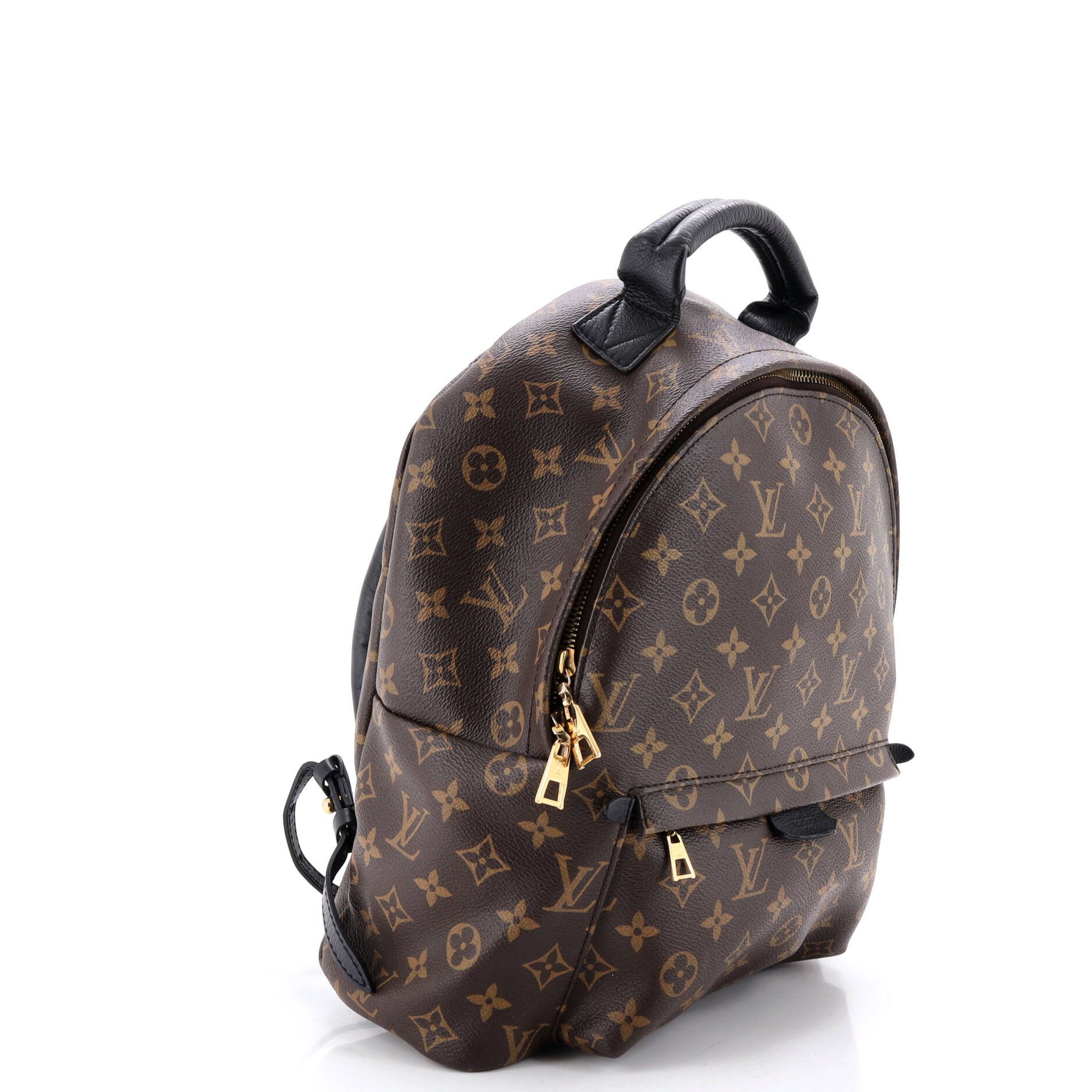 Louis Vuitton Palm Springs Backpack Size ONE SIZE - 2 Thumbnail