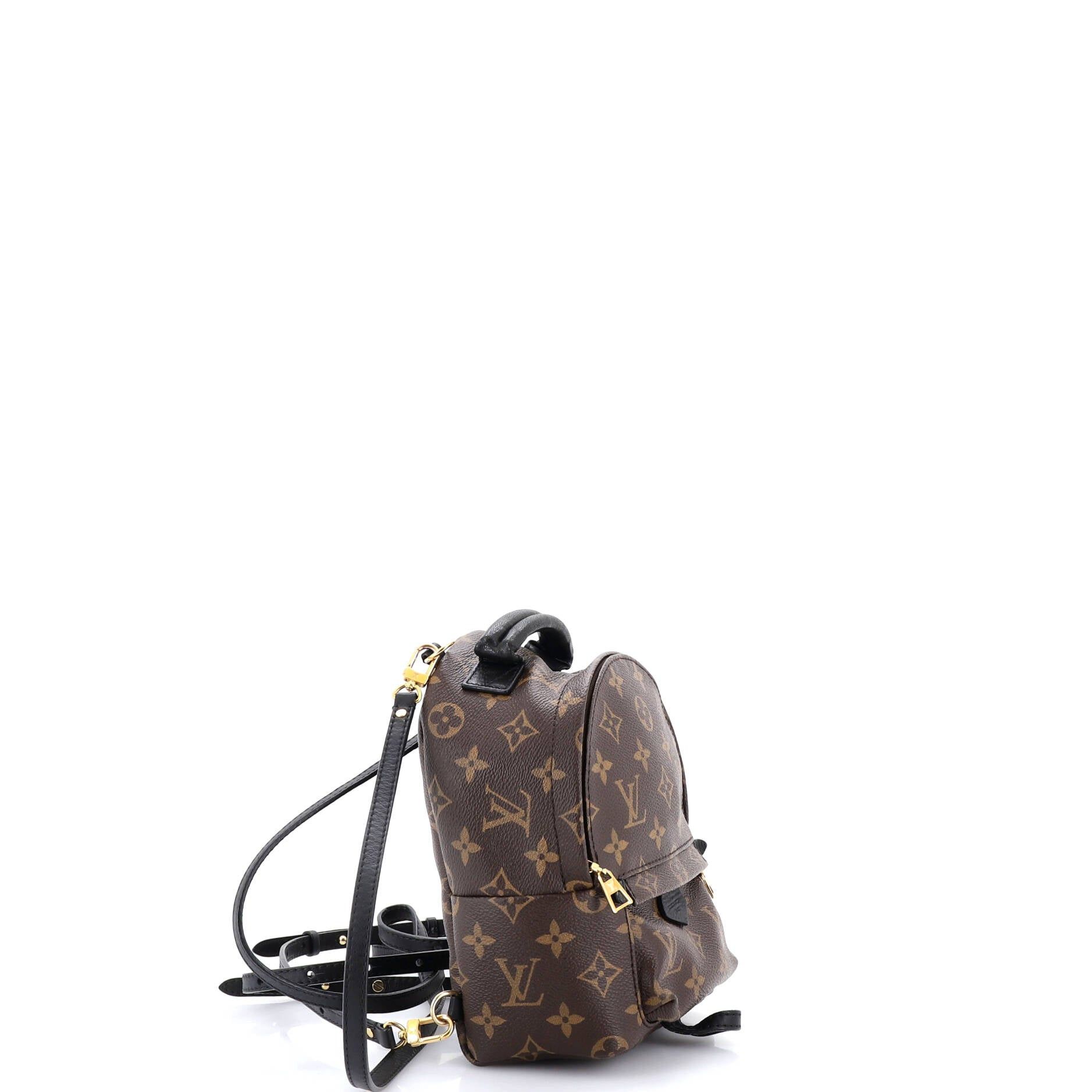 Louis Vuitton Palm Springs Backpack Size ONE SIZE - 2 Thumbnail