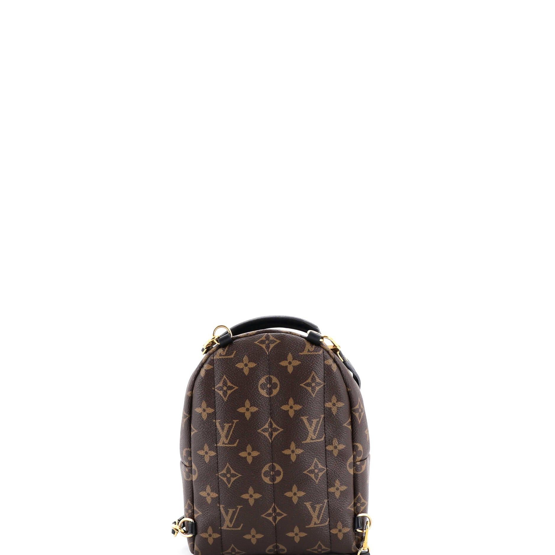 Louis Vuitton Palm Springs Backpack Size ONE SIZE - 3 Thumbnail