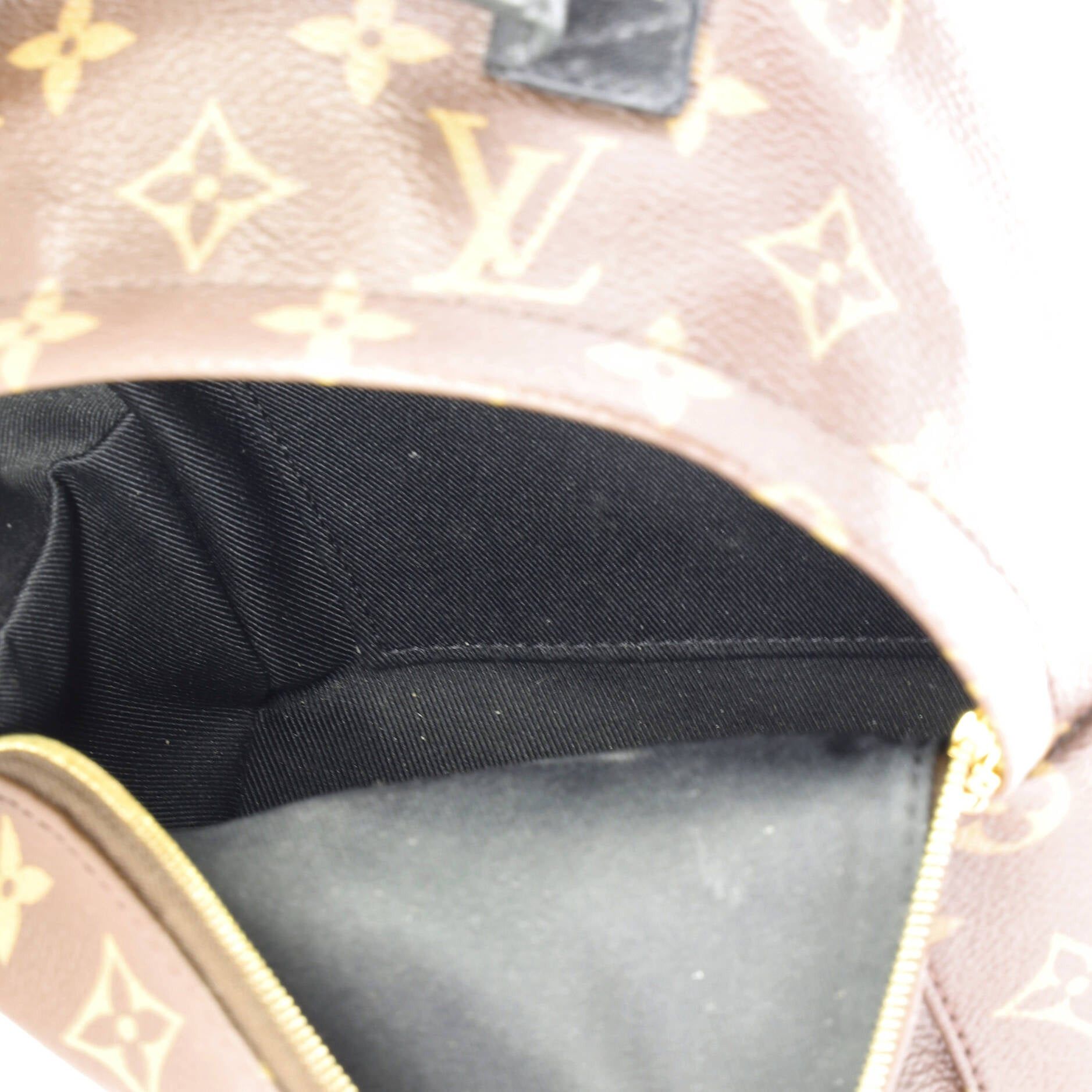 Louis Vuitton Palm Springs Backpack Size ONE SIZE - 5 Thumbnail