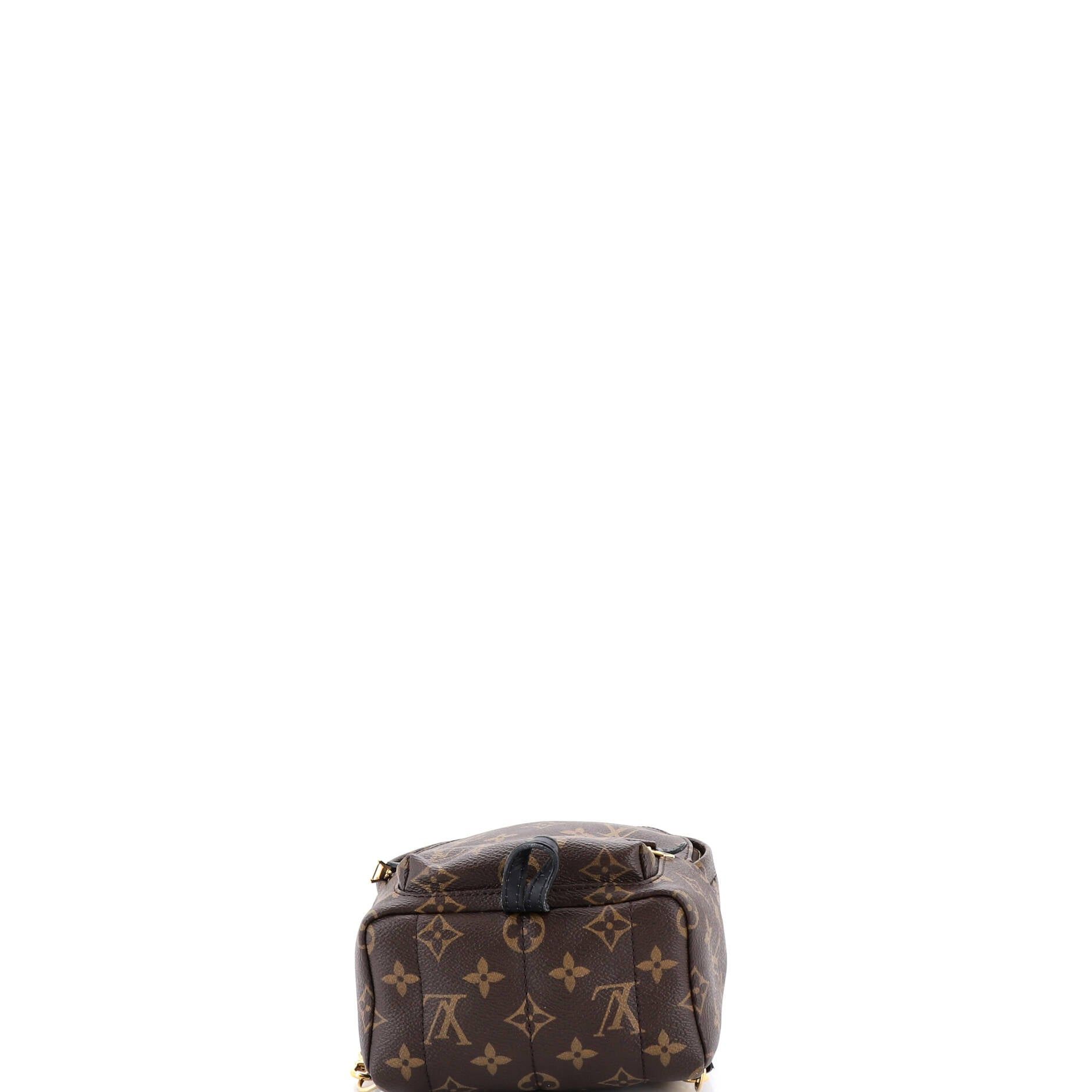 Louis Vuitton Palm Springs Backpack Size ONE SIZE - 4 Thumbnail