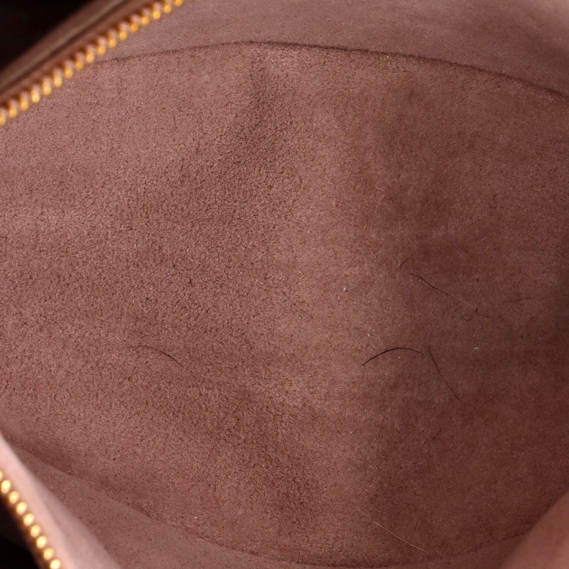 Louis Vuitton Coussin Bag Size ONE SIZE - 5 Thumbnail