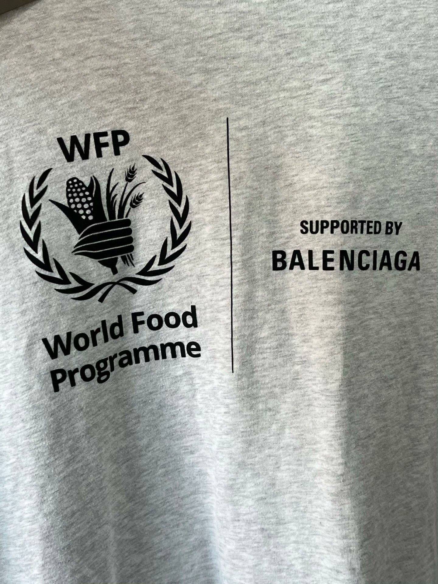 Balenciaga Balenciaga World Food Gray Short-Sleeve Tee Size US L / EU 52-54 / 3 - 7 Thumbnail