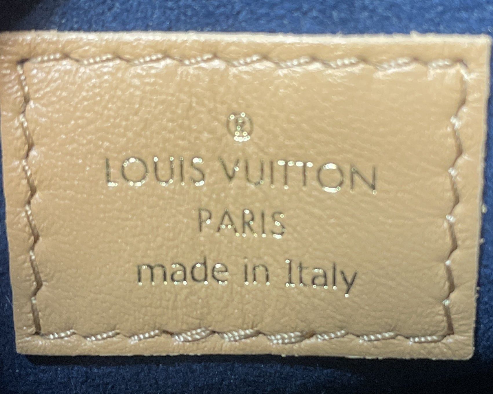 Louis Vuitton Coussin Bag Size ONE SIZE - 7 Thumbnail