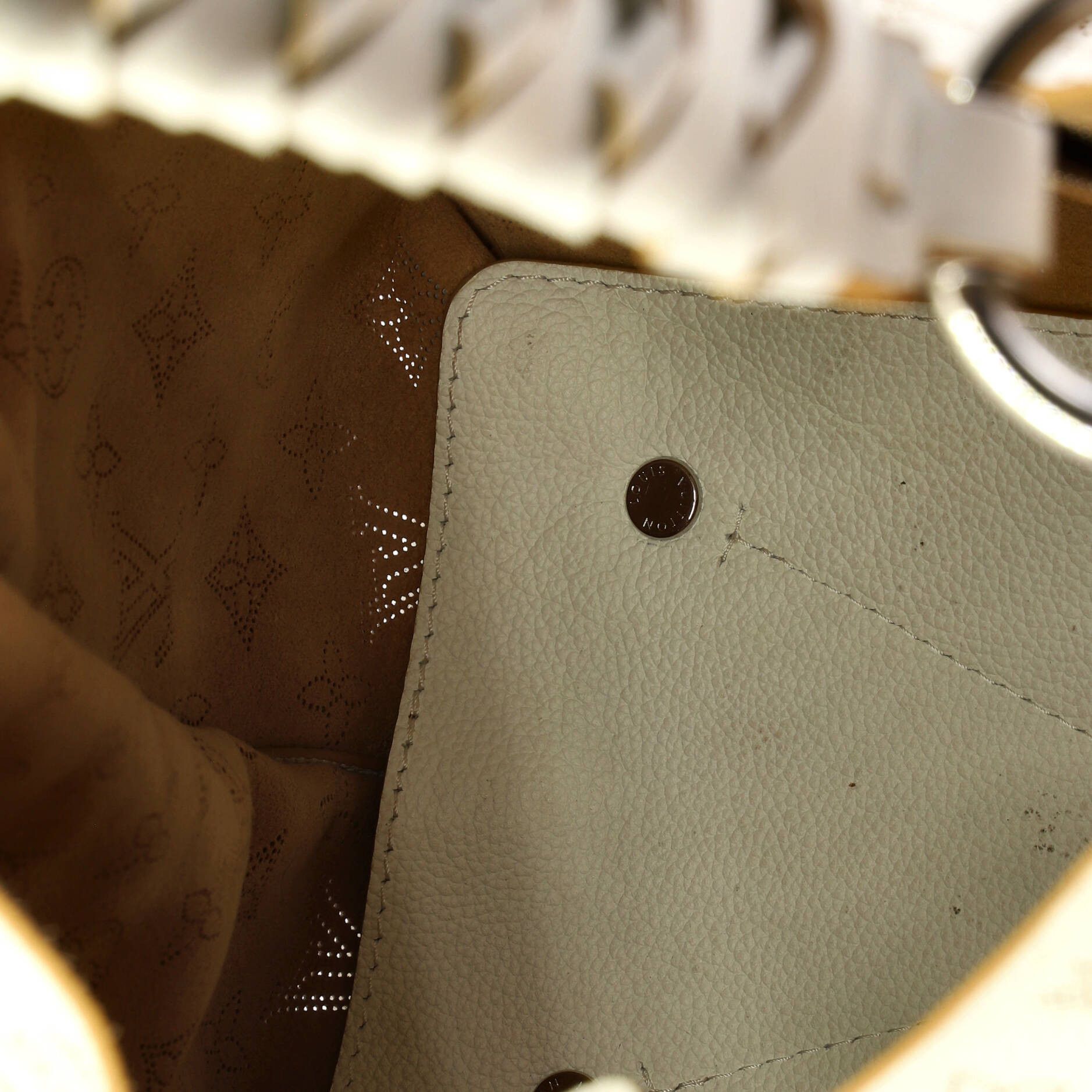 Louis Vuitton Carmel Hobo Size ONE SIZE - 5 Thumbnail